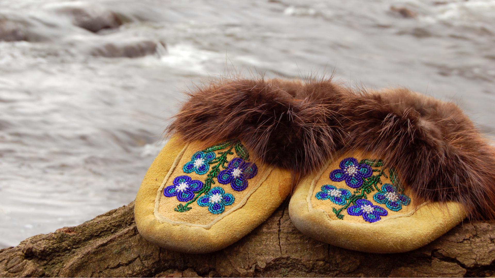 The Etsy Fur Ban Has an Exemption. Canada Doesn't Qualify.