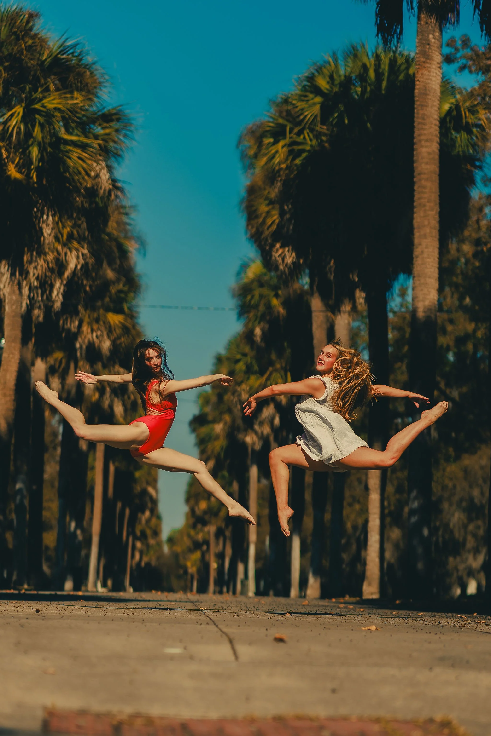 Company Showcase 