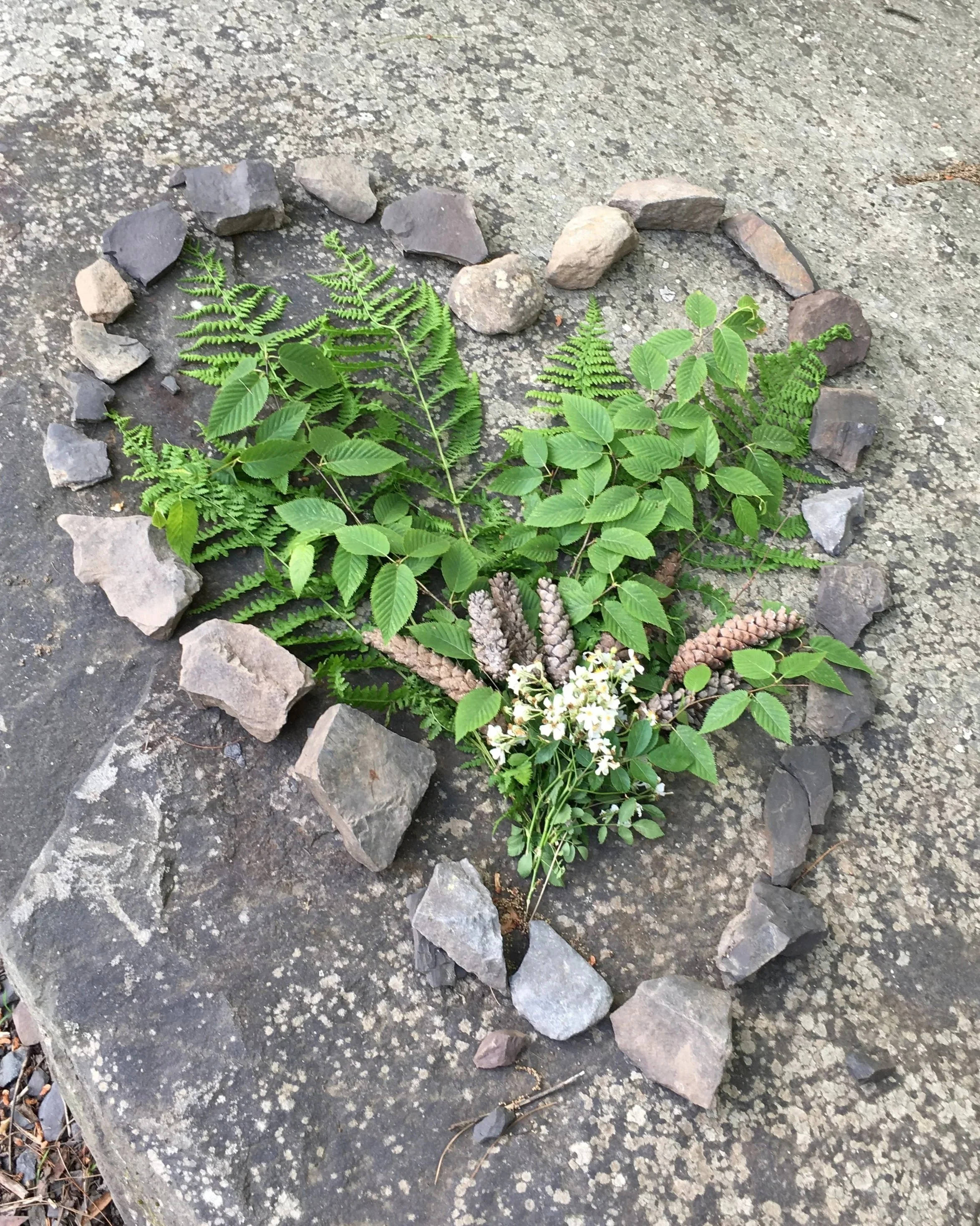 Spirit Guides: Your Journey to Connection and Guidance