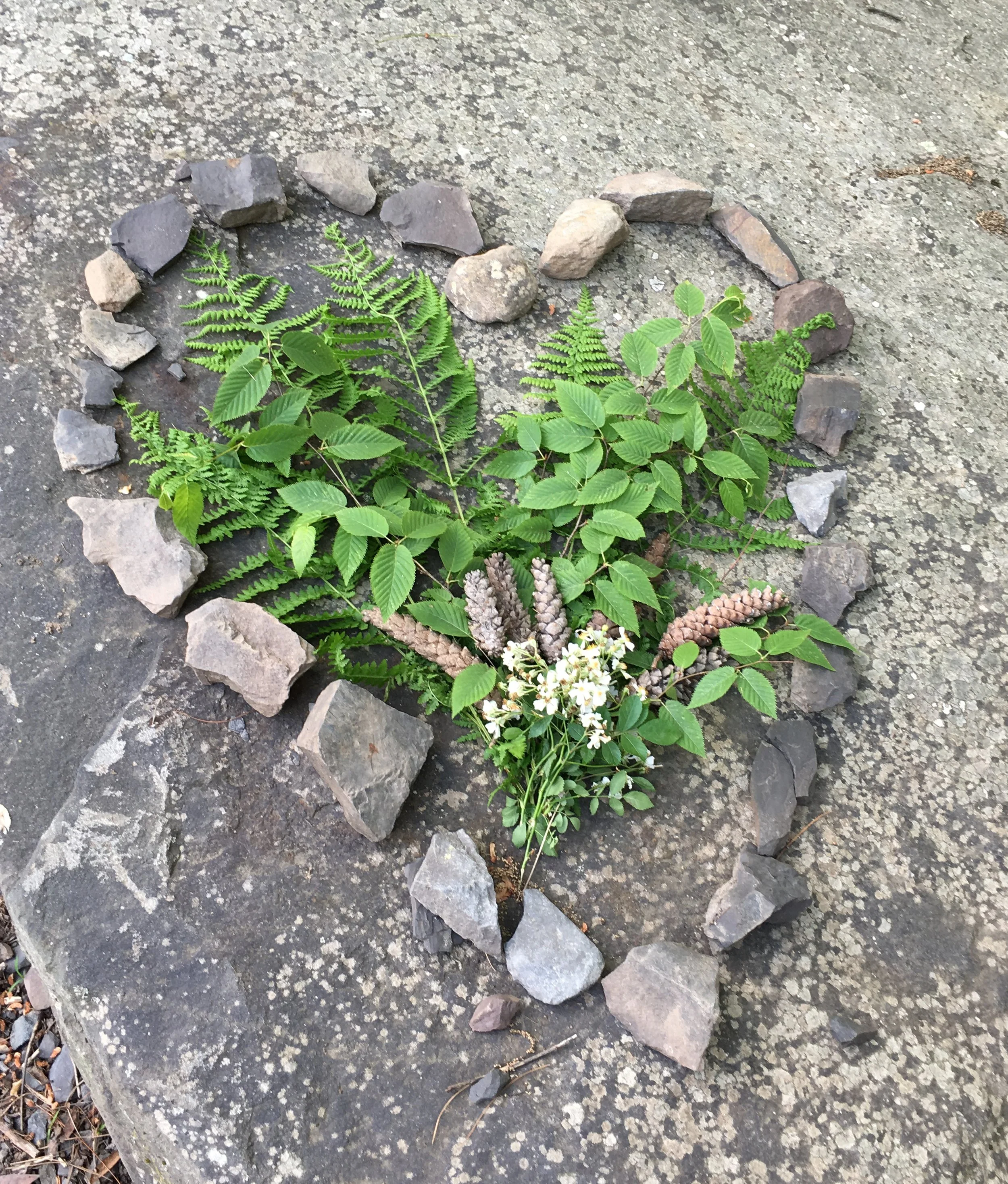 Spirit Guide class.jpg