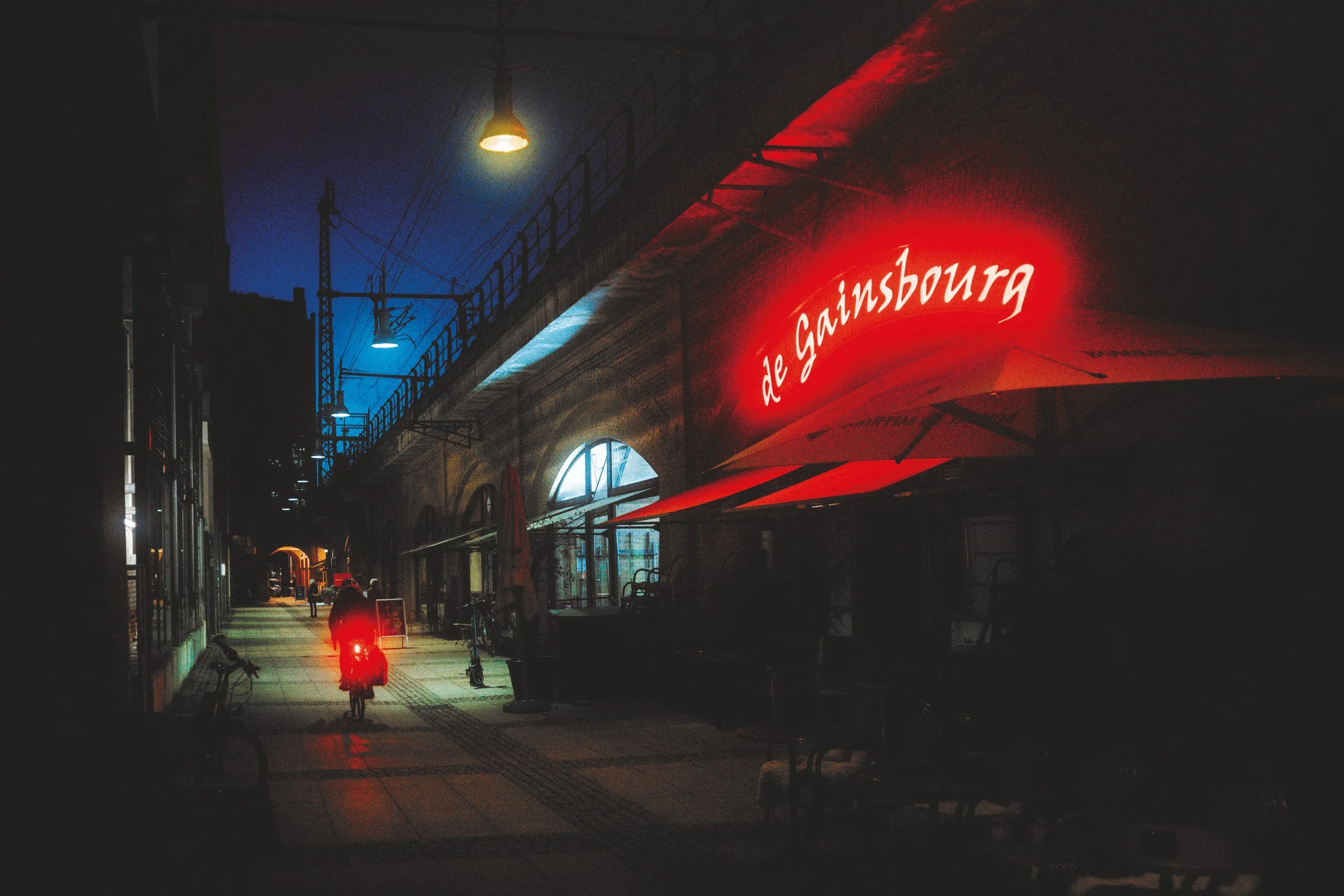 THE WAY INTO THE NIGHT