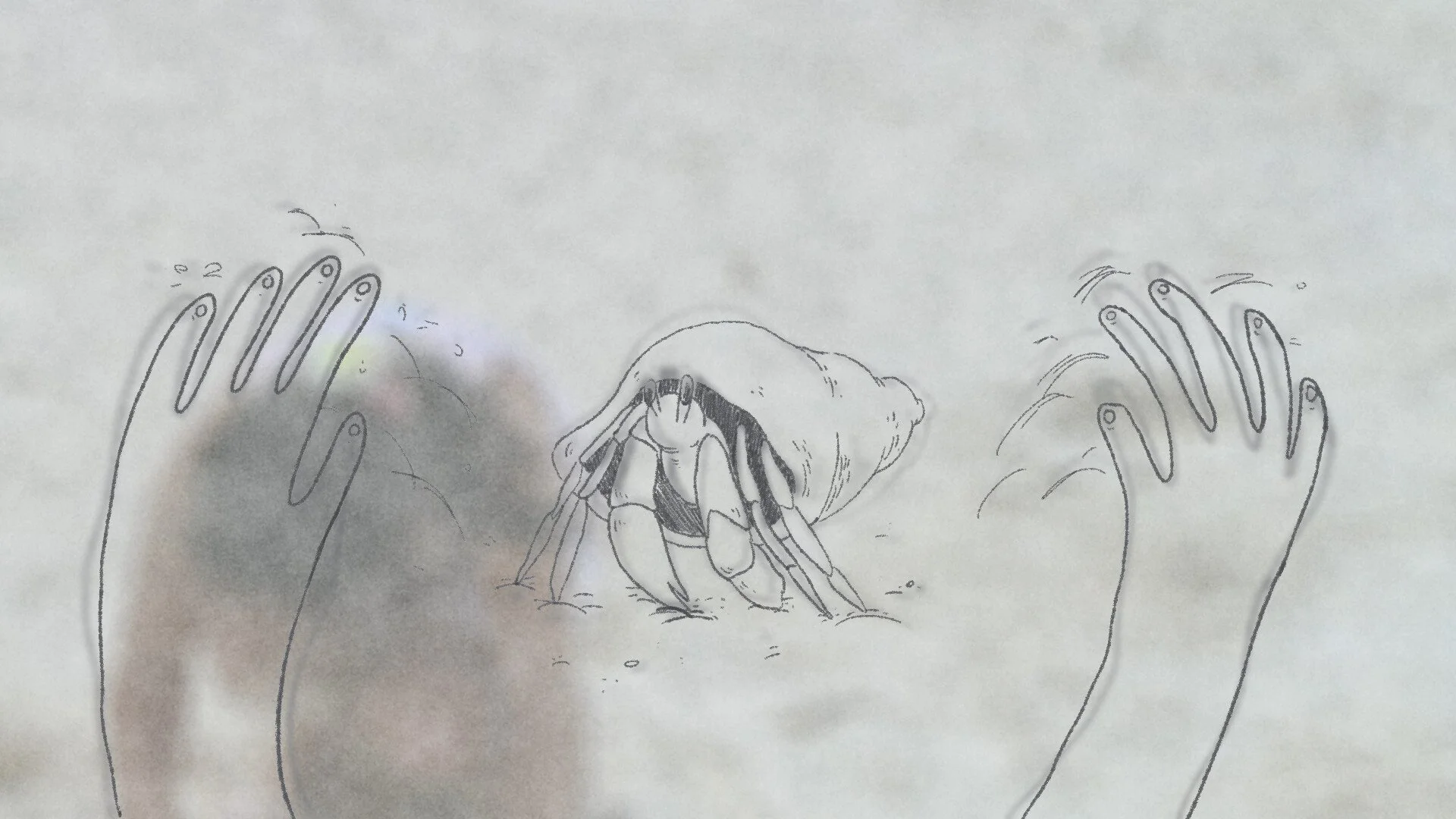 THE HERMIT CRAB