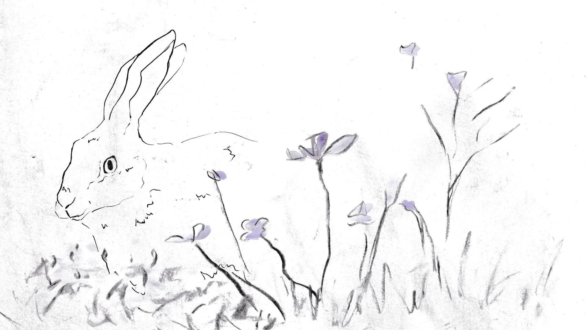 STROKES OF A WILDFLOWER