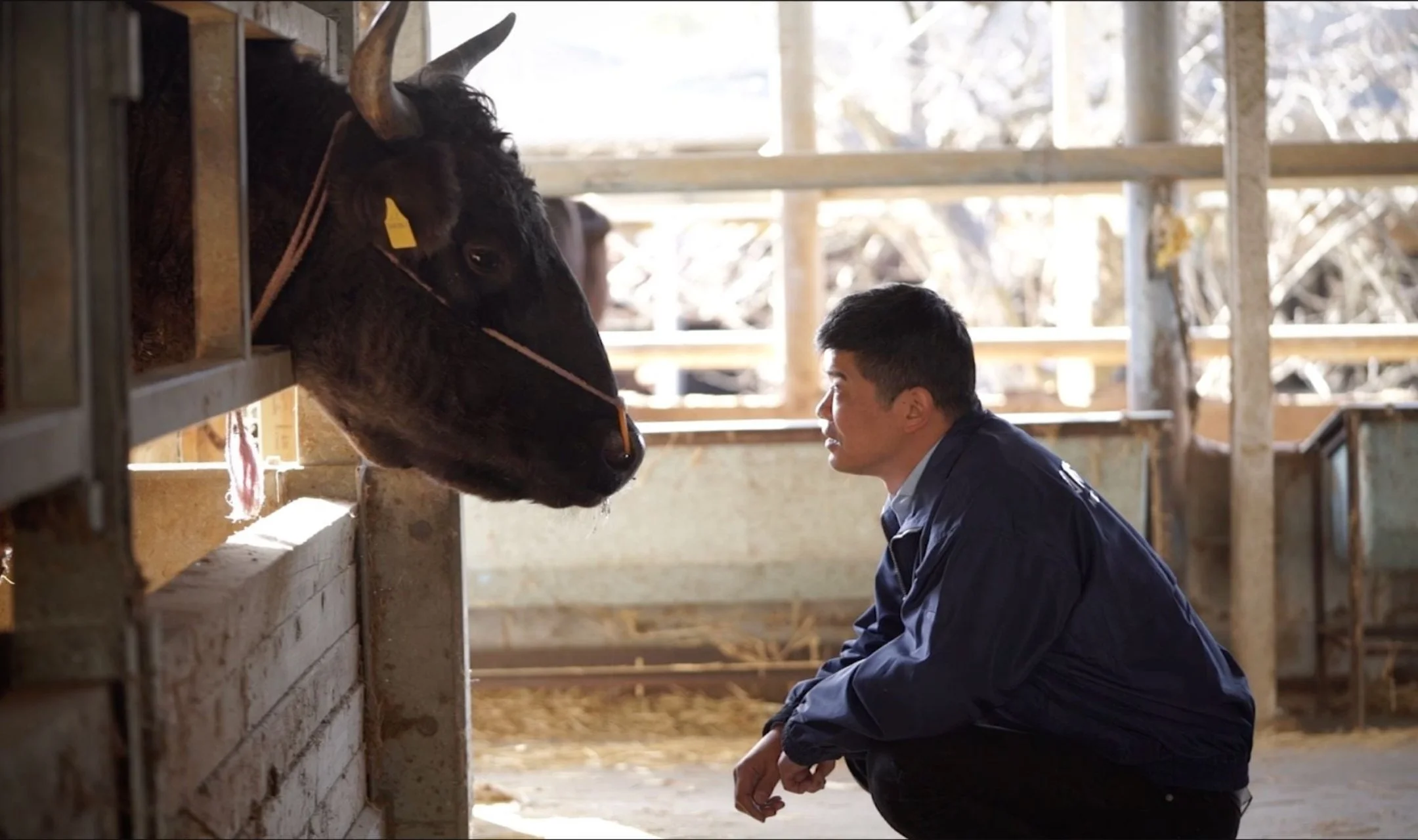 Noriaki Numamoto at Takamori Farm.jpg