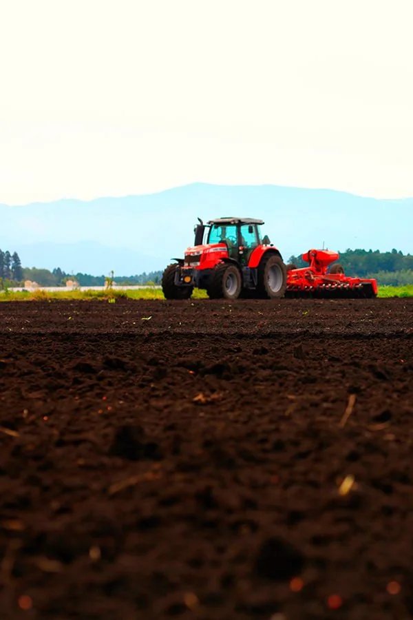 soil-001.jpg