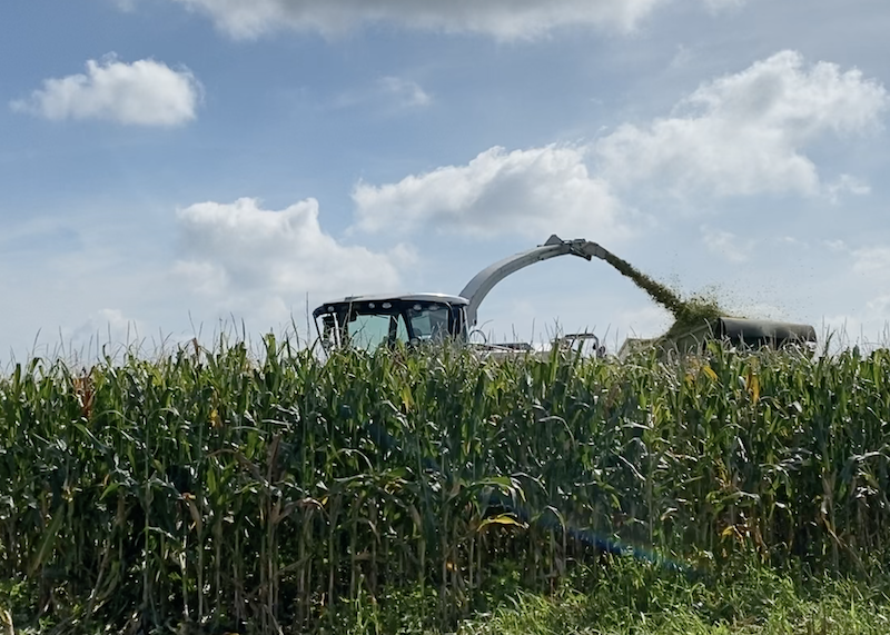 agri05-1.png