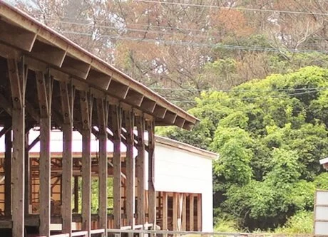 farm-about3.jpg