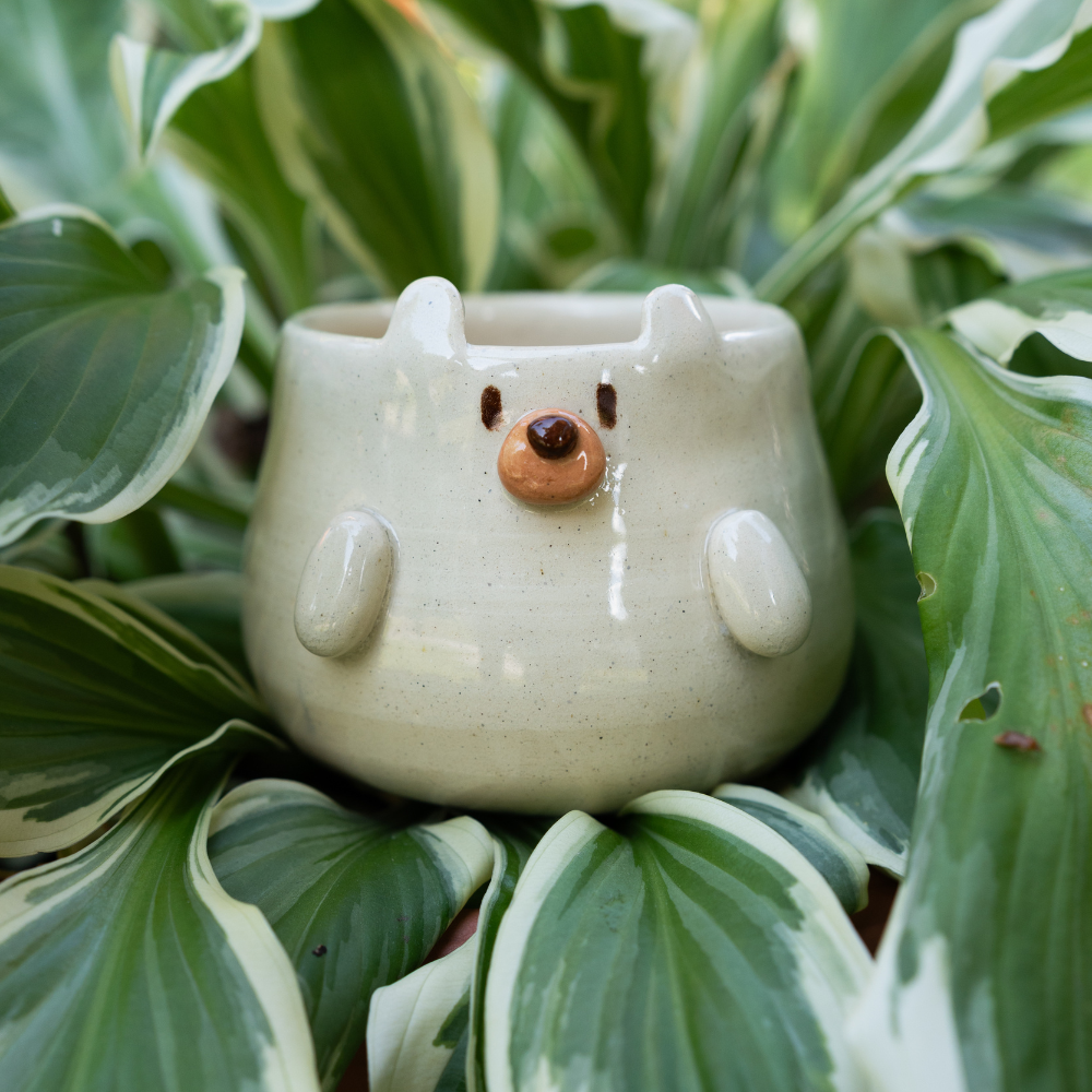 bear shaped mug with 3d face, paws, and ears nestled in. ahouseplant