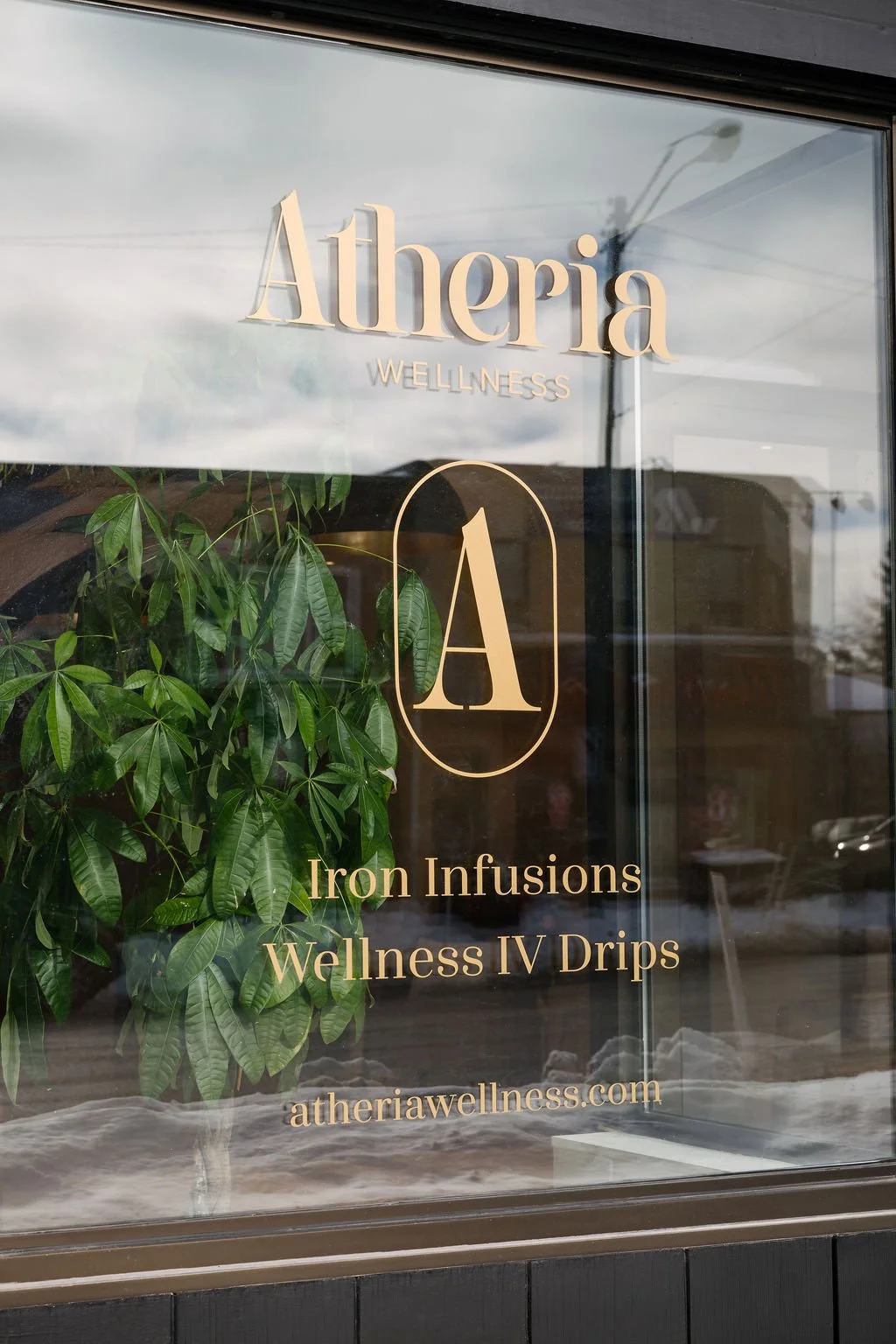 Book menopause iron infusion consultation with Toronto medical team