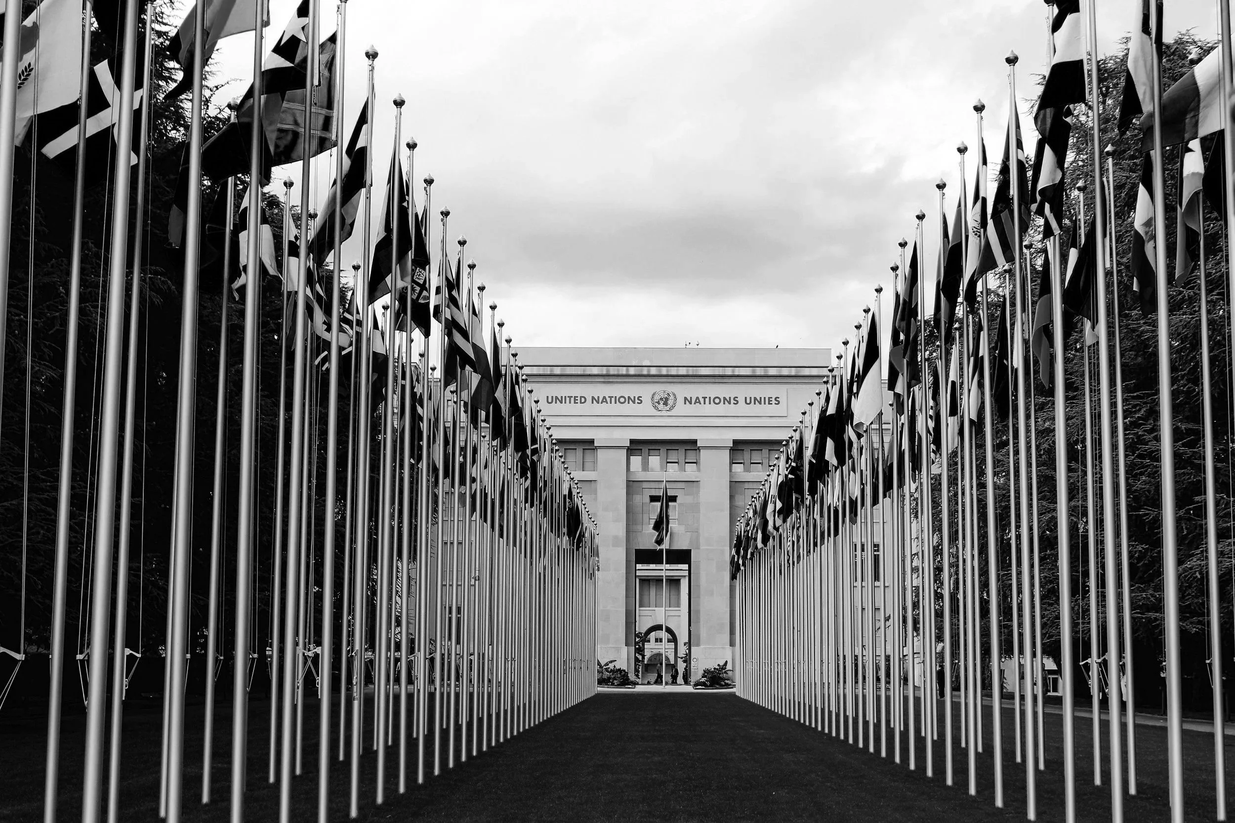Reform of the United Nations