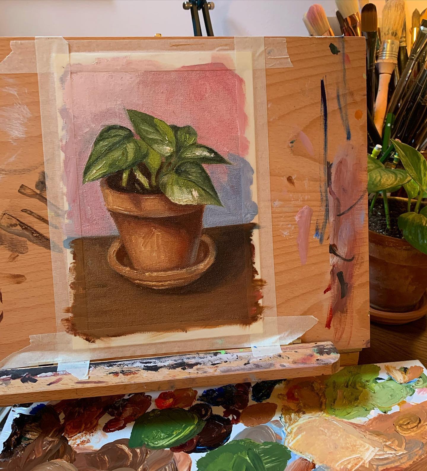 little oil study for a warm up today 🤗 I&rsquo;ve been working verrryyyyy slowly on this series of paintings exploring our human connection with plants since September. To try to get my brain actually moving I&rsquo;m going to start doing little war