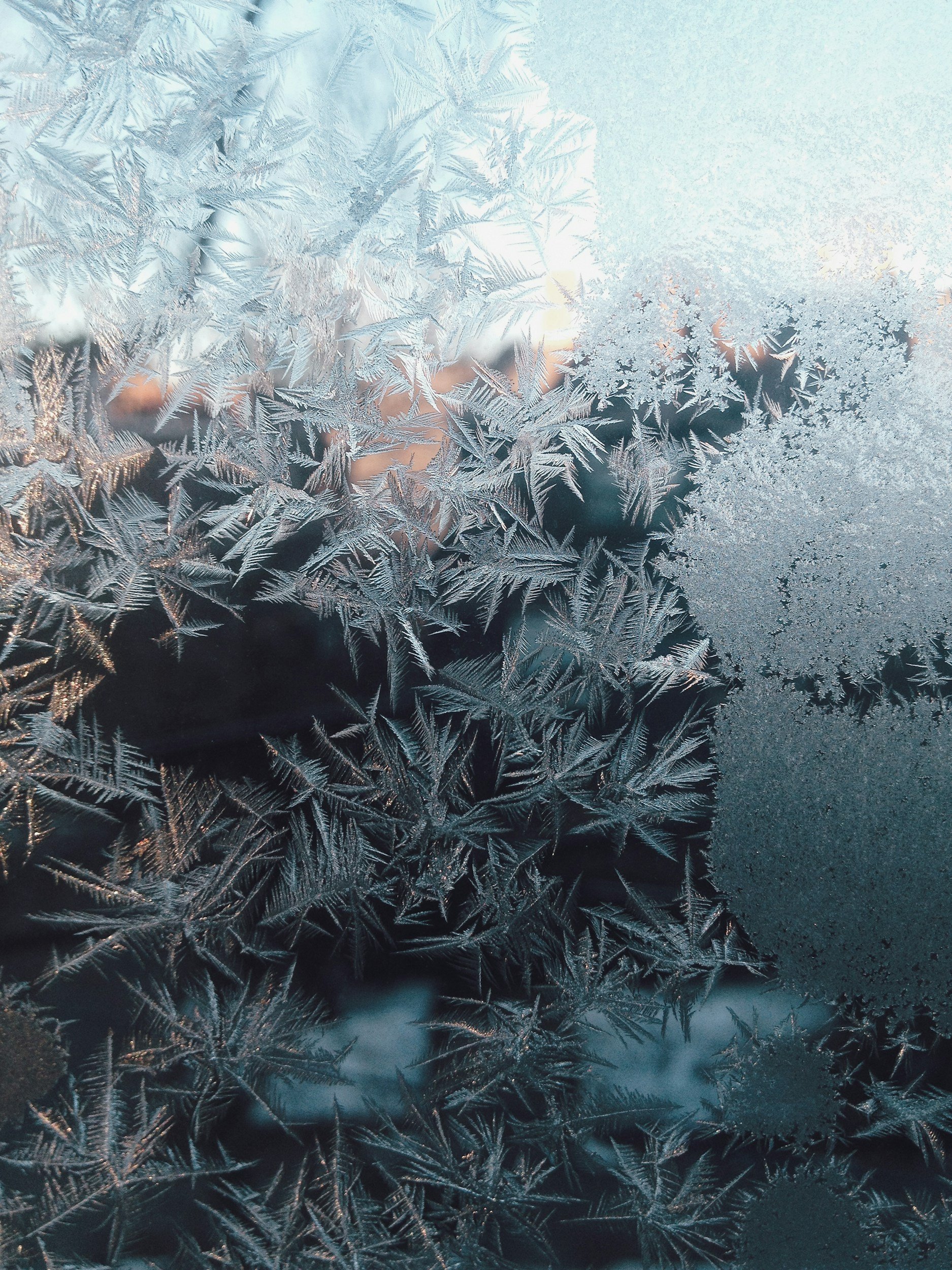 Coming Back to Life: Healing the Freeze &amp; Shutdown Response Through Somatic Experiencing
