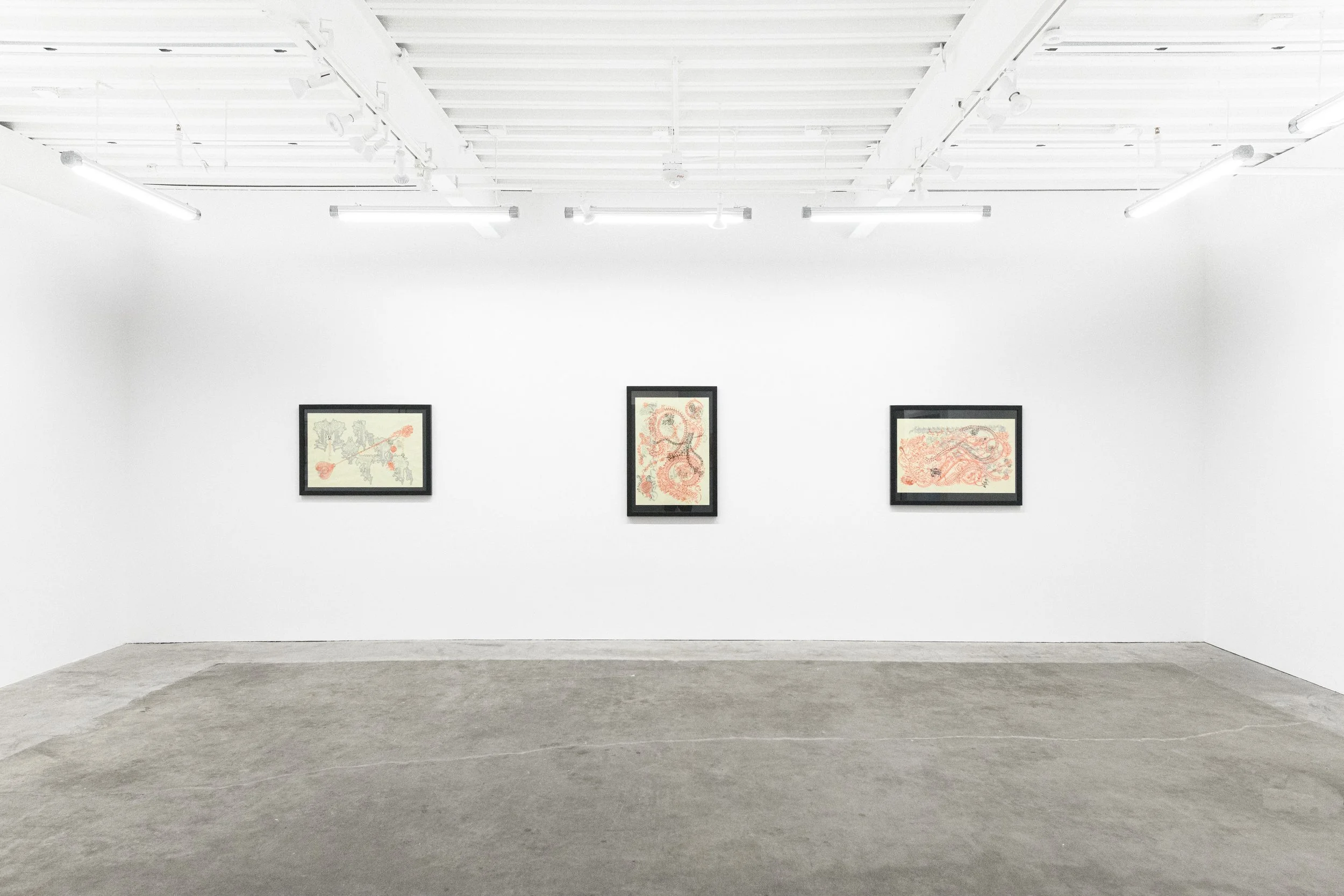 Axis of Compassion w/ Megan and Lecia Wilson @ Eleanor Harwood Oct 2025 Shaun Roberts Photo