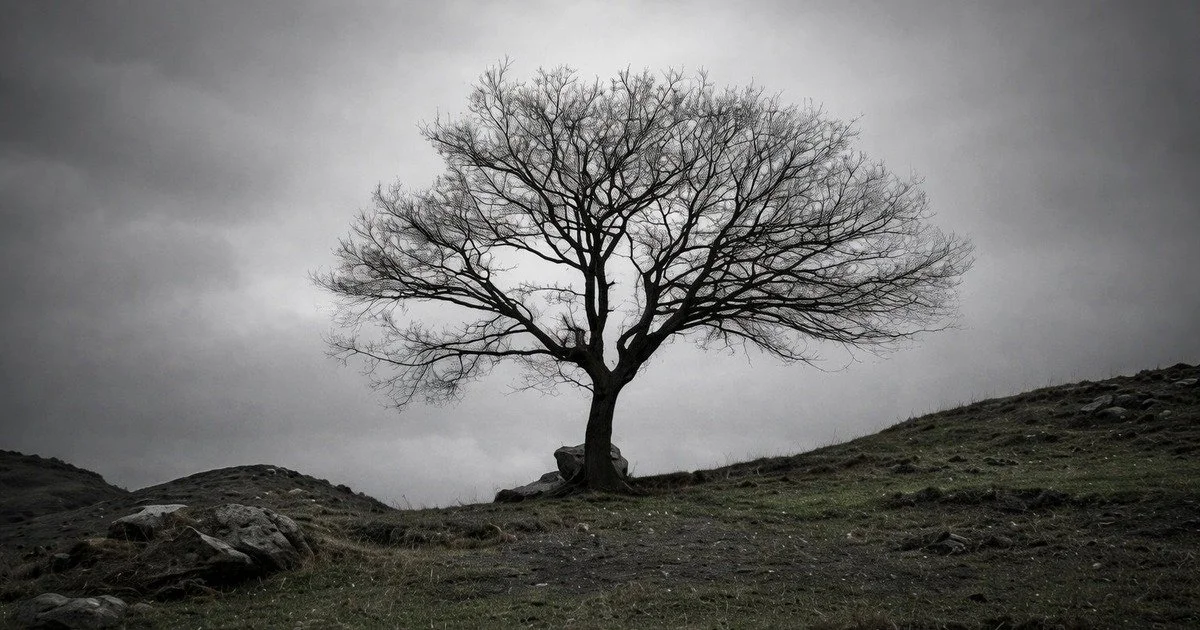 The Exhaustion Nobody Sees