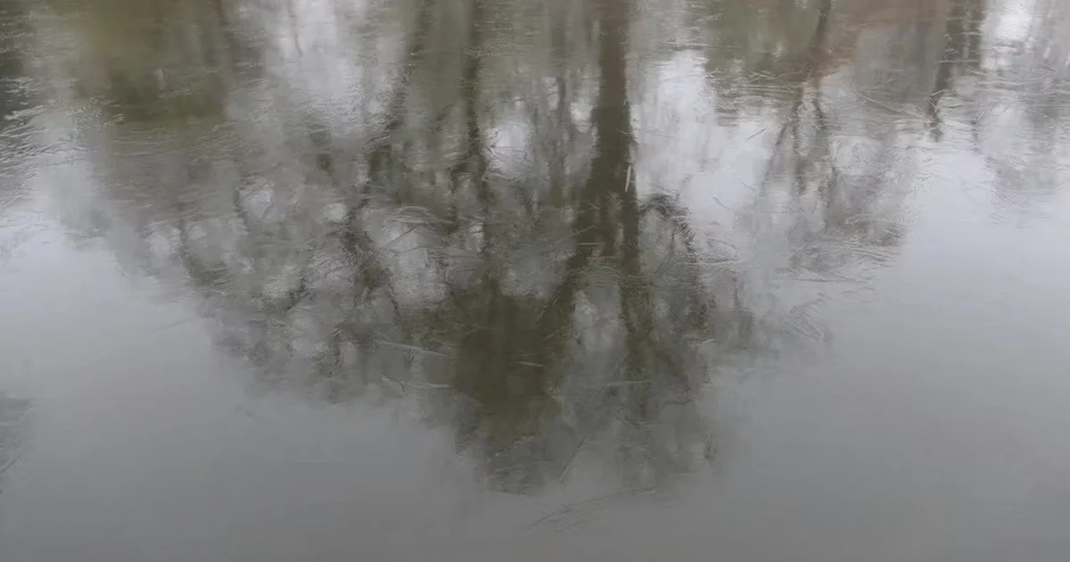 When You Have Everything and Feel Nothing