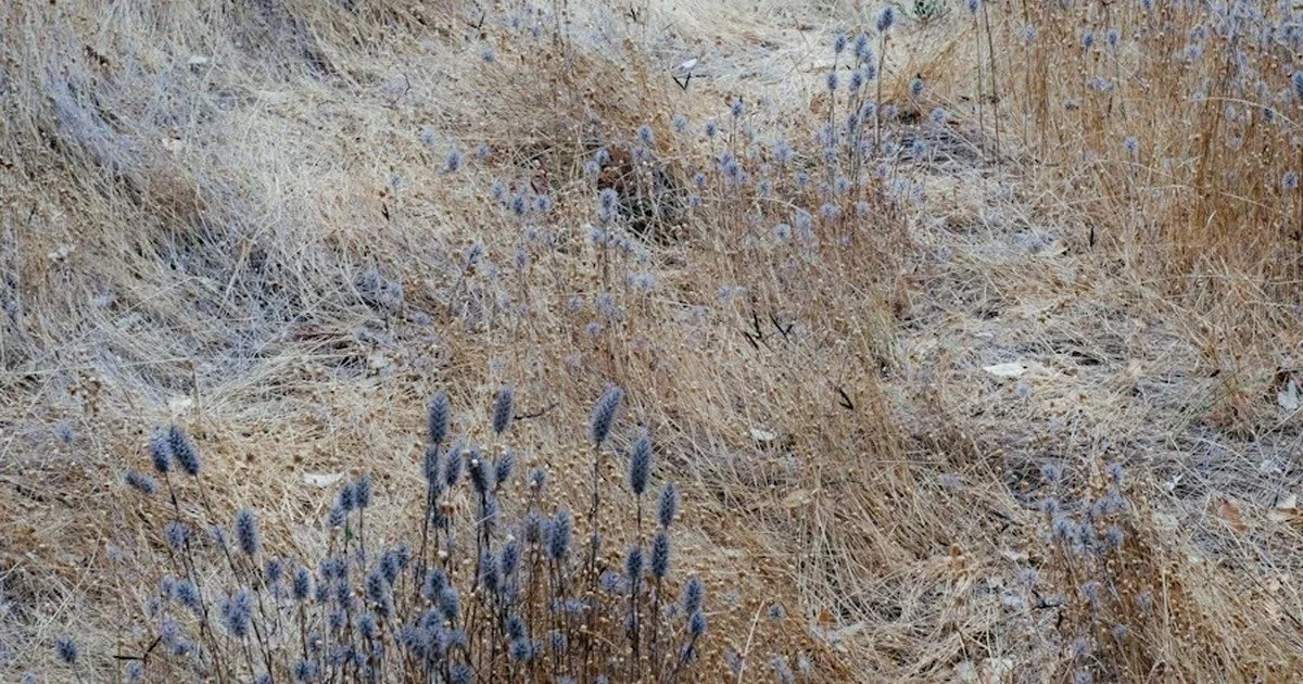 You Know Exactly What Everyone Else Needs. What About You?