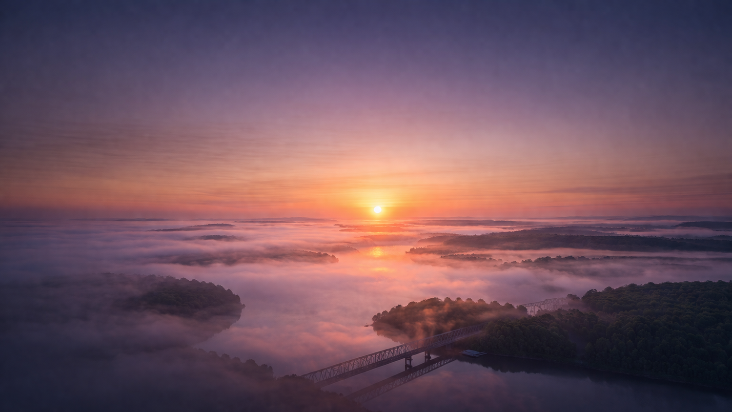 Therapy for anxiety, burnout, and childhood wounds — online throughout California.