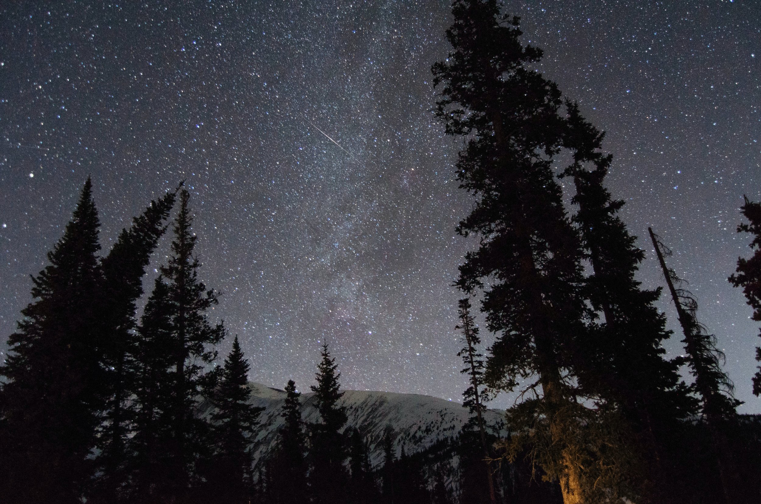 Perseid Meteor Shower