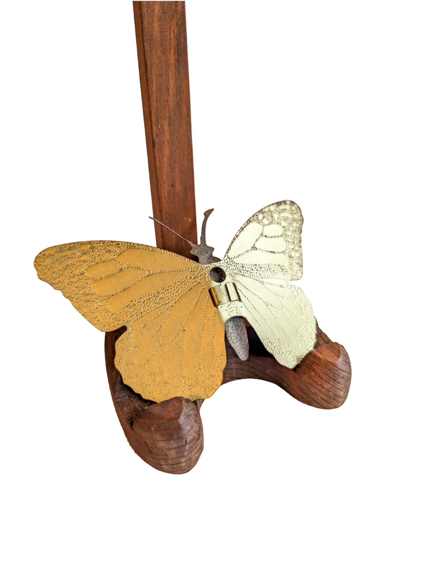 PXL_20230325_174910462-PhotoRoom.png