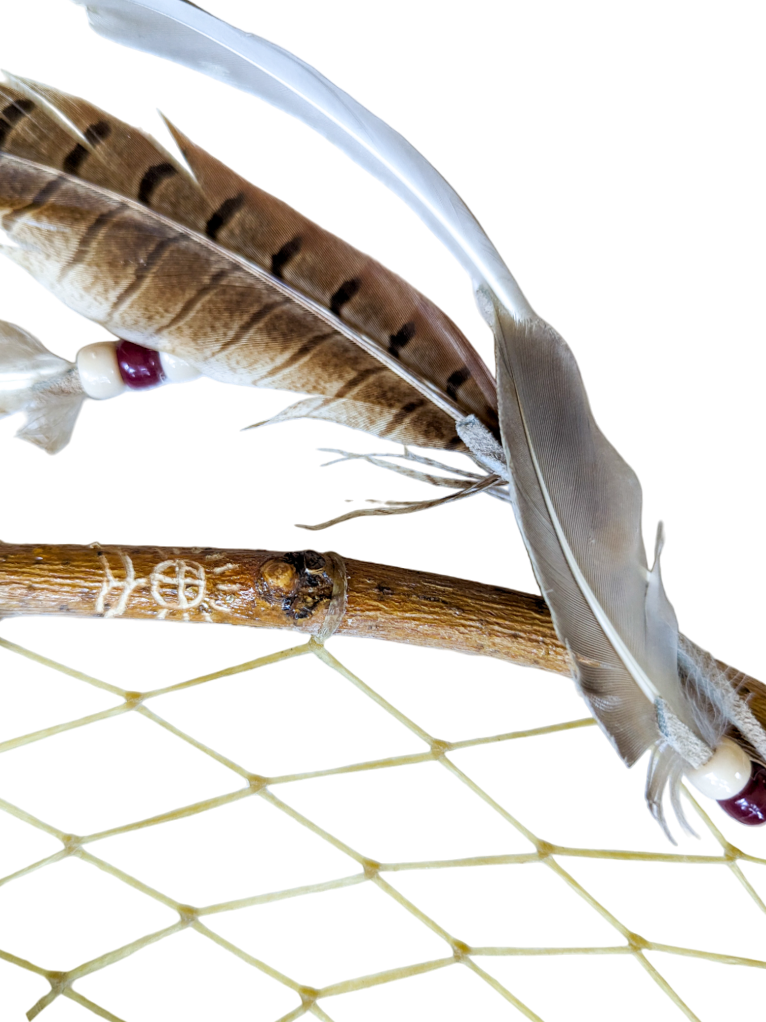 PXL_20230330_154447327-PhotoRoom.png