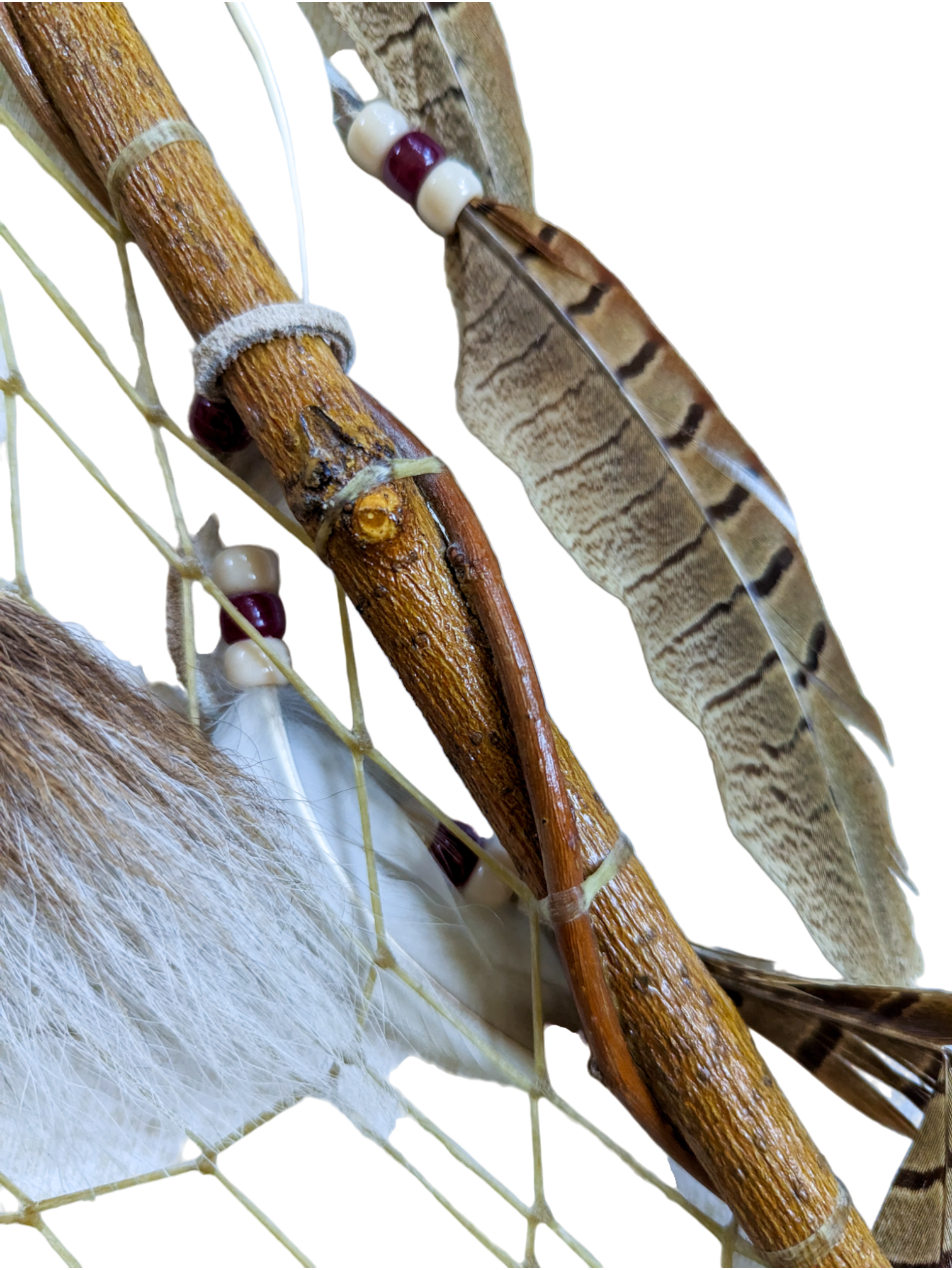 PXL_20230330_154510119-PhotoRoom.png