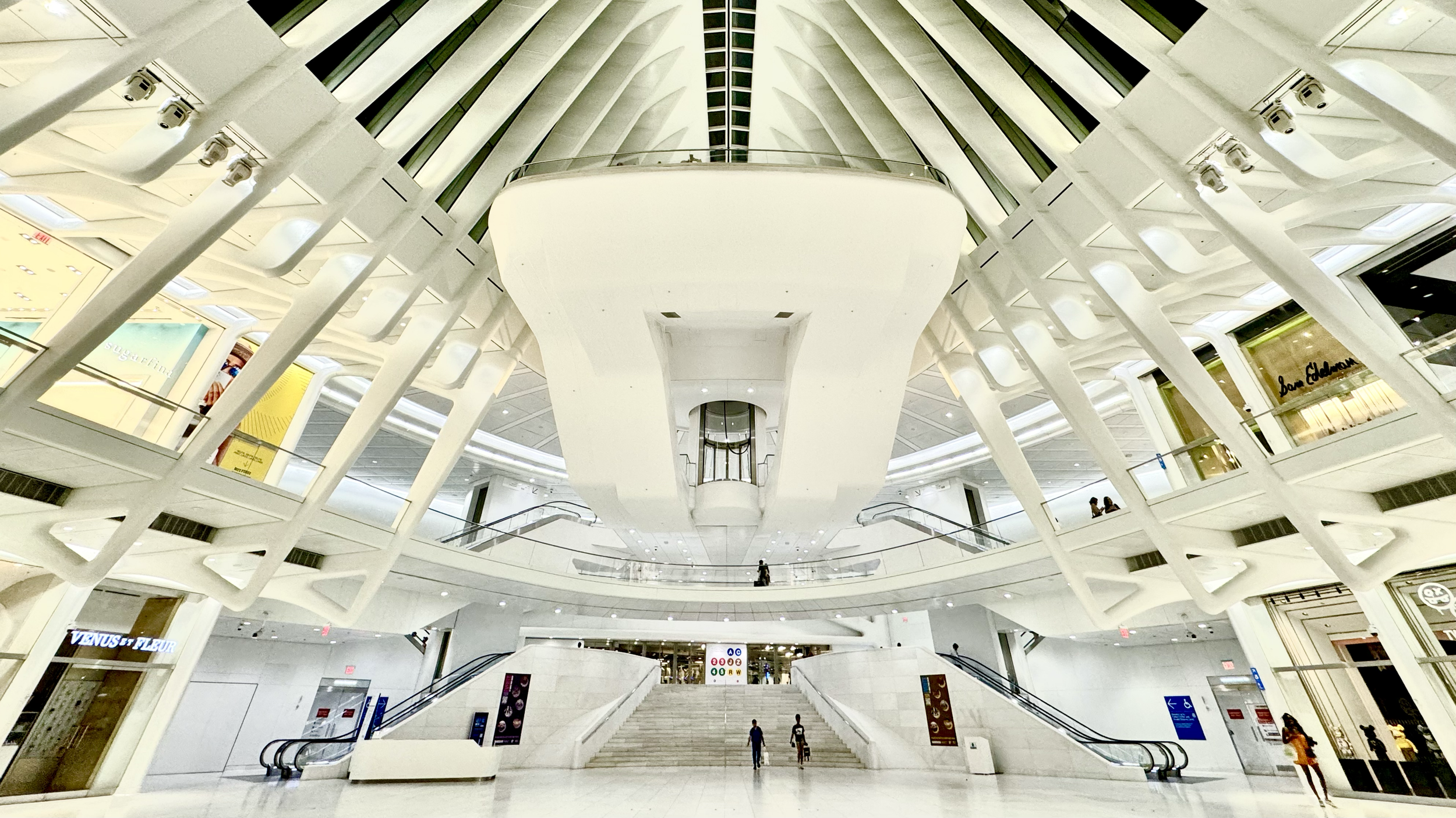 Interior of the Oculus at the World Trade Center in New York City showcasing neo-futurist architecture with symmetrical ribbed structure and natural light