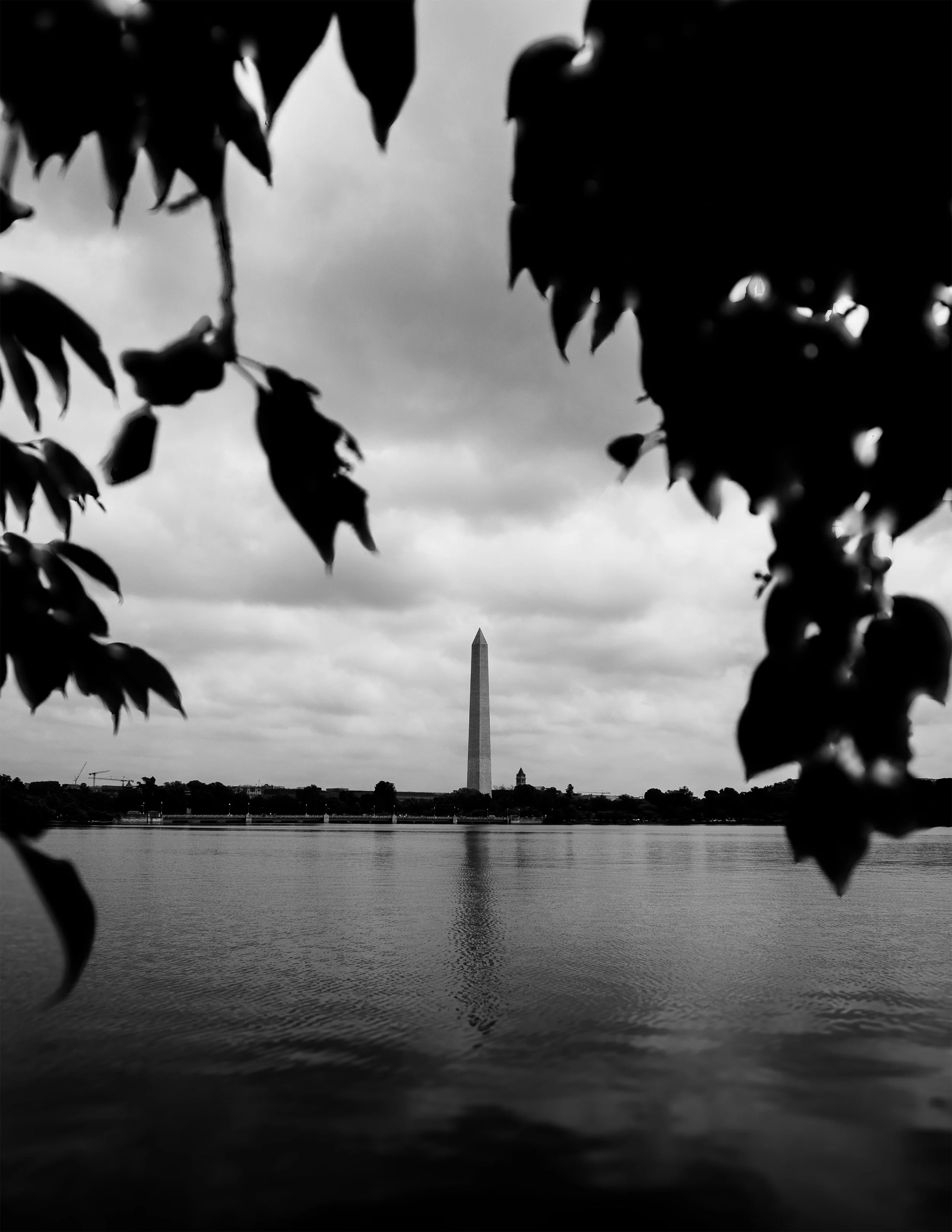 Washington Monument in Washington DC framed by foreground foliage across the reflecting pool under dramatic cloudy sky