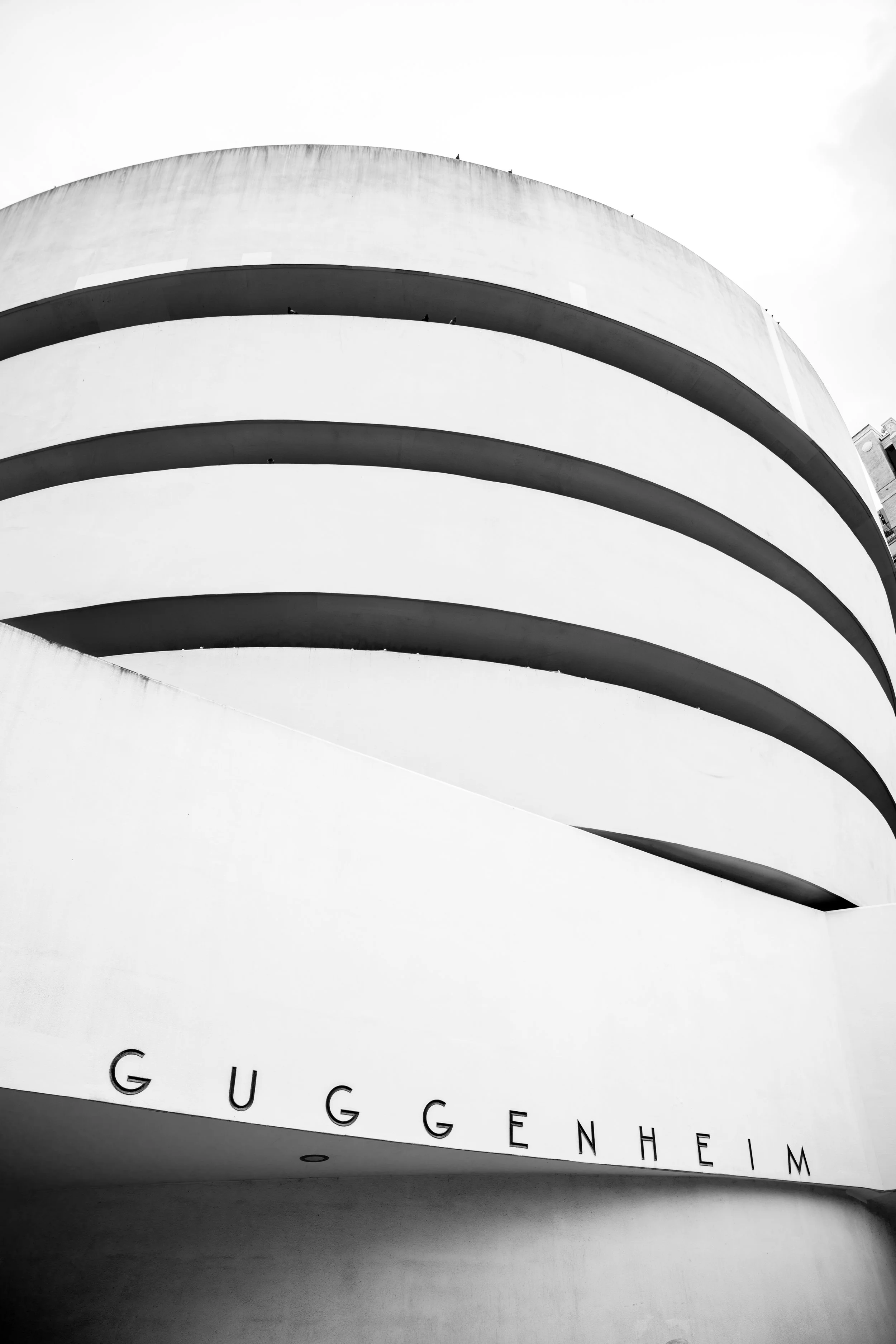 Exterior of the Guggenheim Museum in New York City featuring modernist architecture with smooth curved forms and horizontal bands