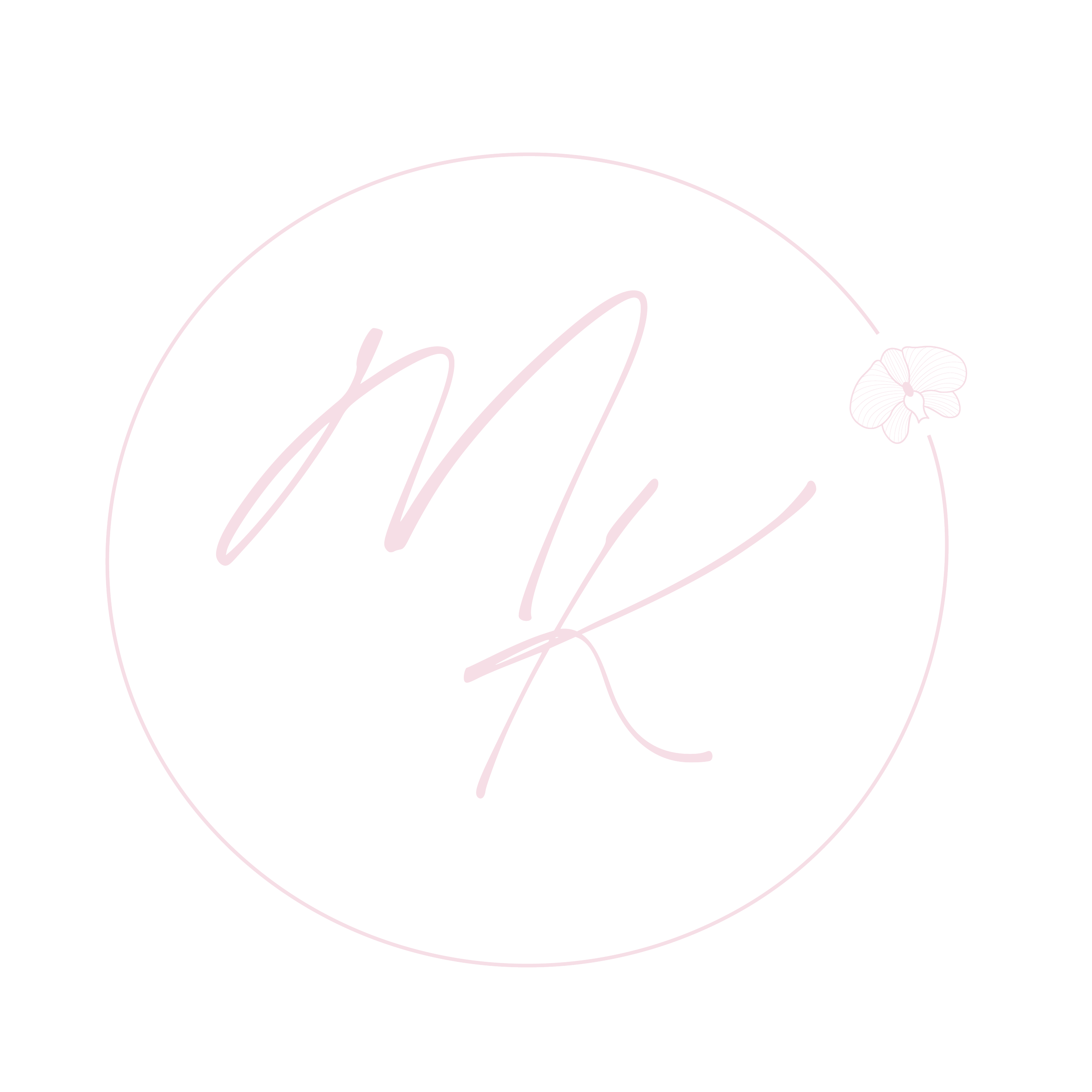 Minimalist line drawing of a flower and cursive text.