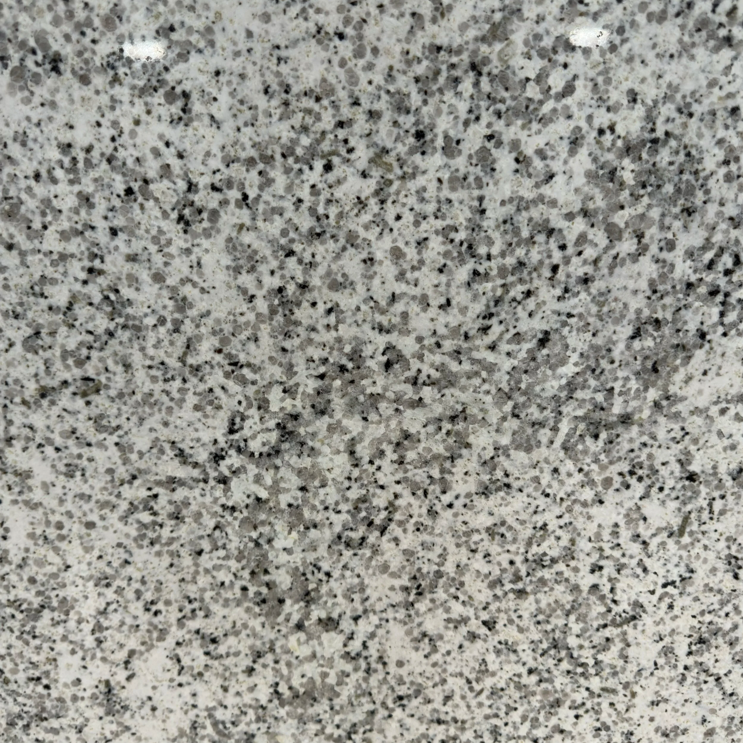 IMG_1747.png