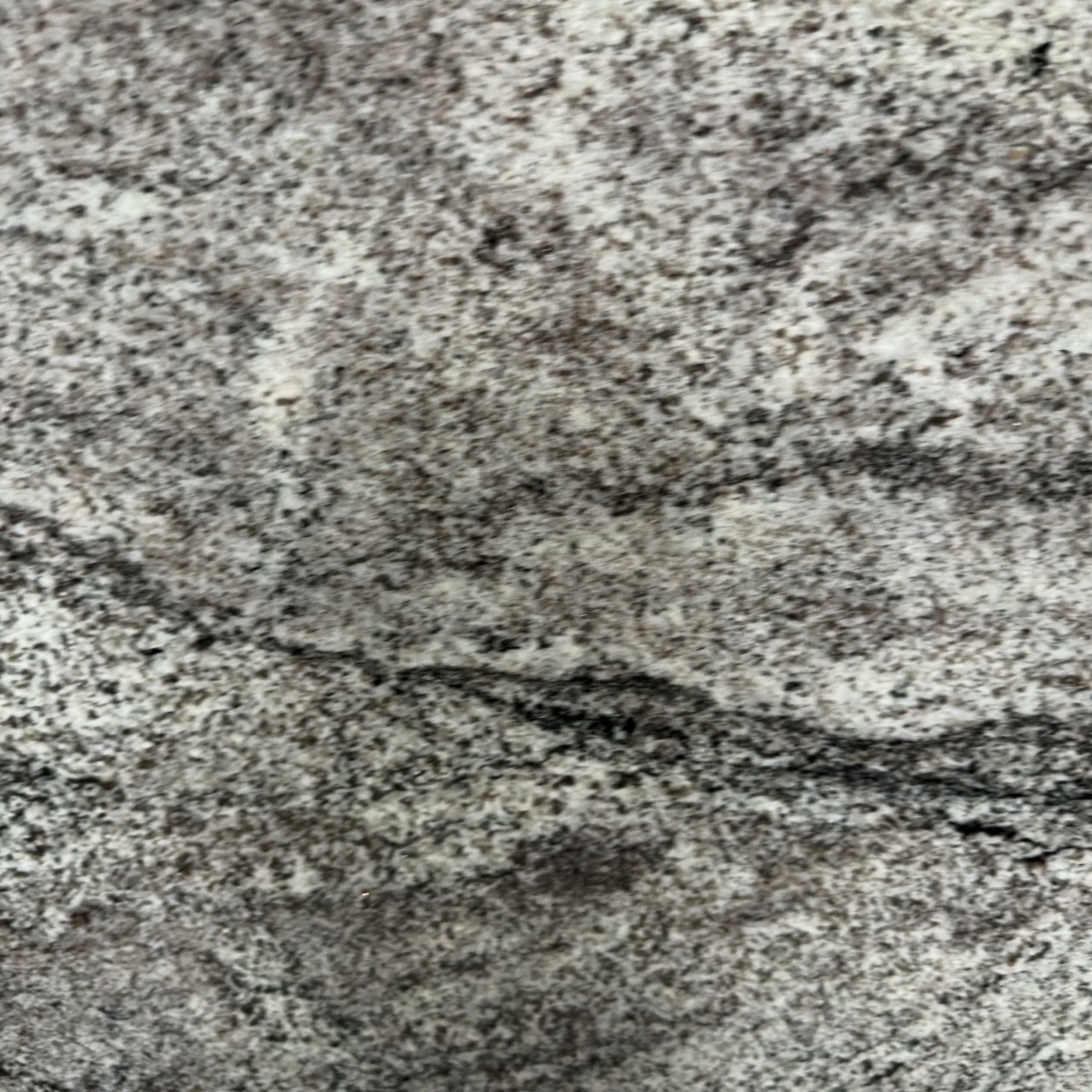 IMG_1737.png