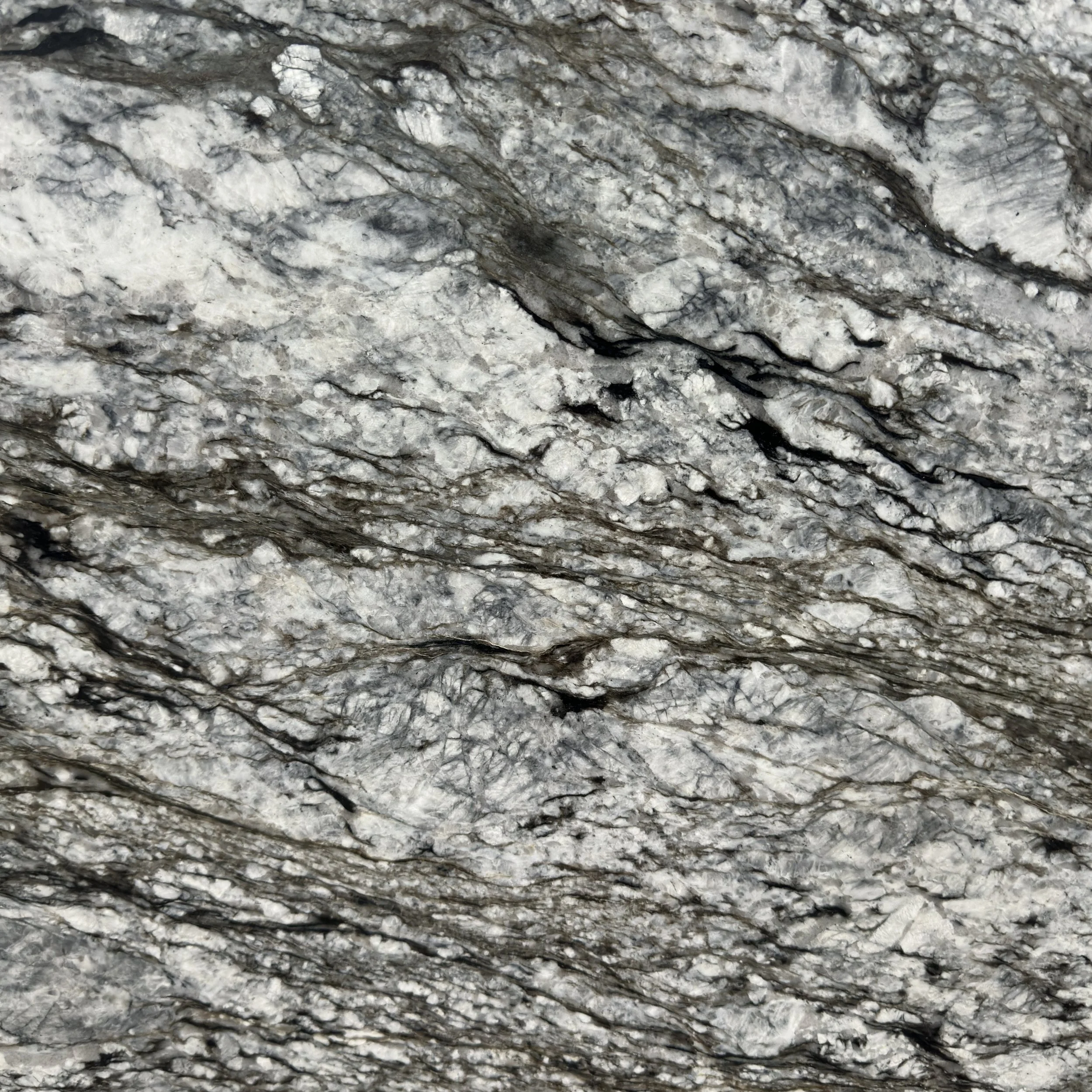 Closeup 2.jpg