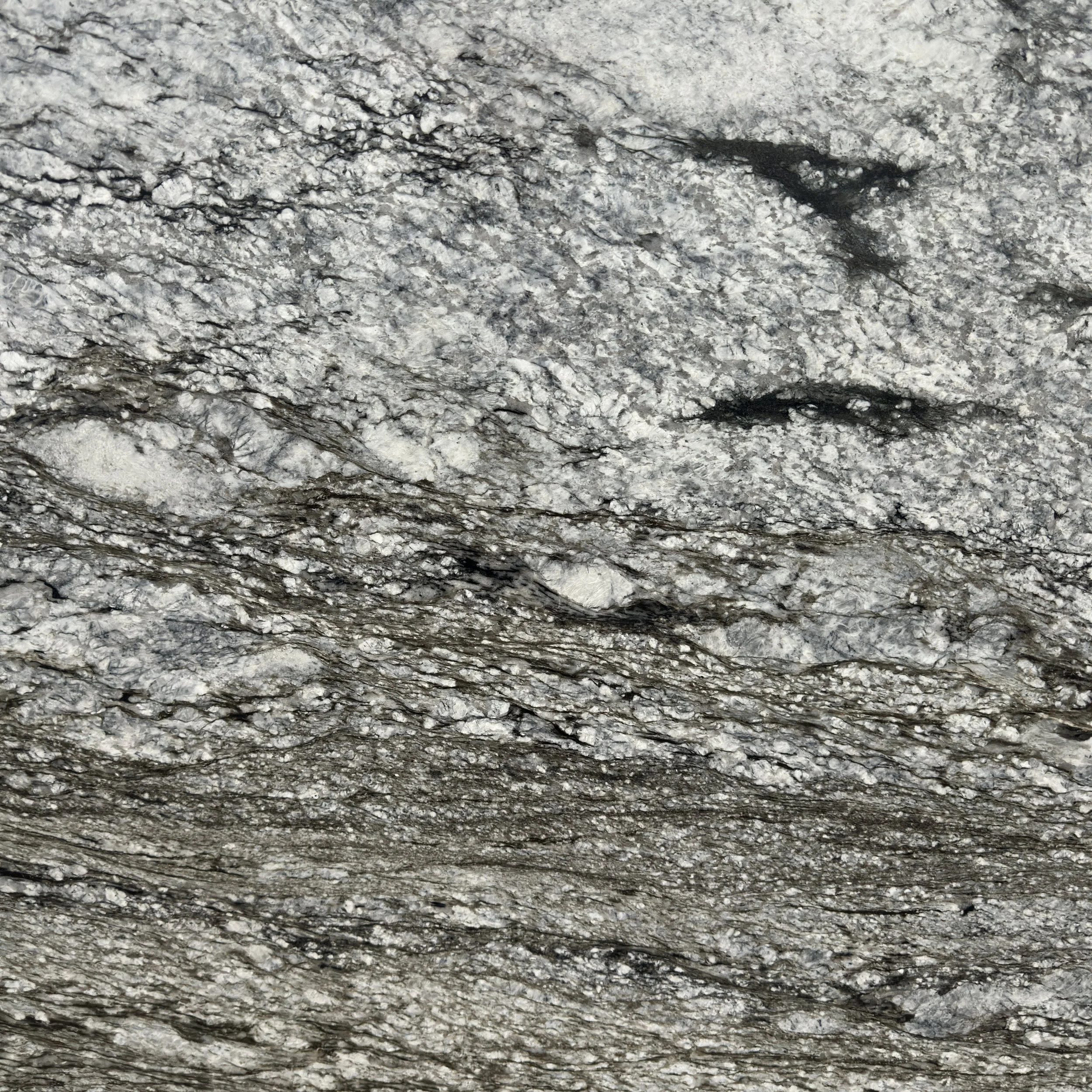 CLoseup.jpg