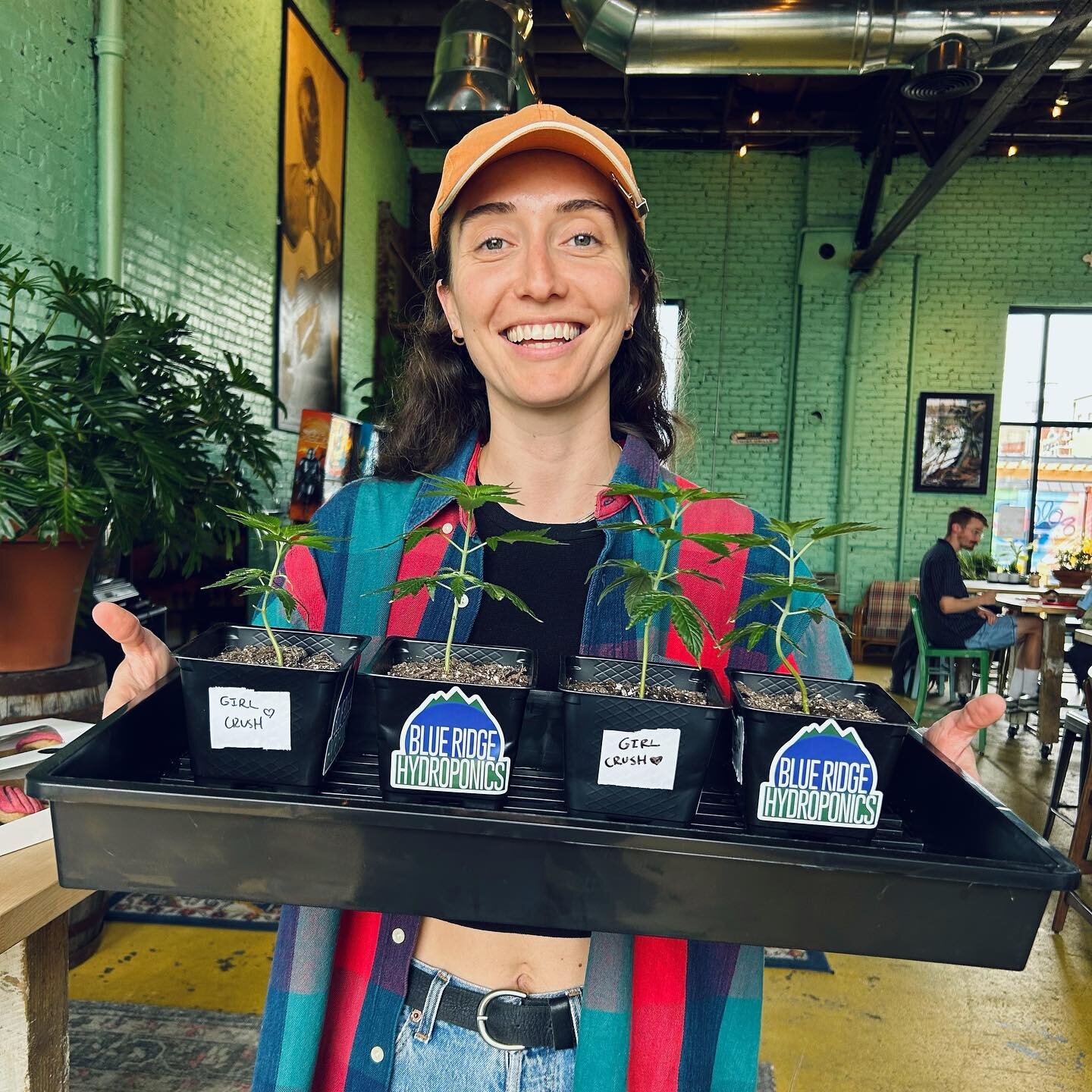 Hand-delivered prizes for @gatewoodrosebotanicals Golden Girls Bingo tonight @ @goldencactusbrewing 💚 

Nothin like a good ol&rsquo; Girl Crush clone!

Fun Fact: Girl Crush has been entered by a local grower in our BRH Cannabis Cup 😎 that&rsquo;s w