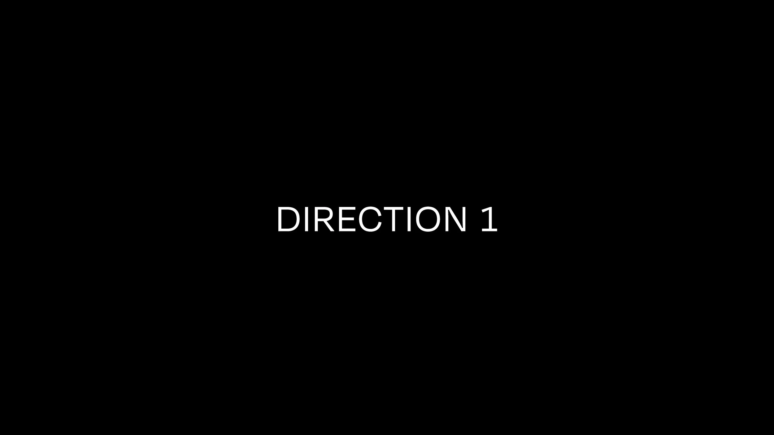 A black screen with white text that reads 'DIRECTION 1'.