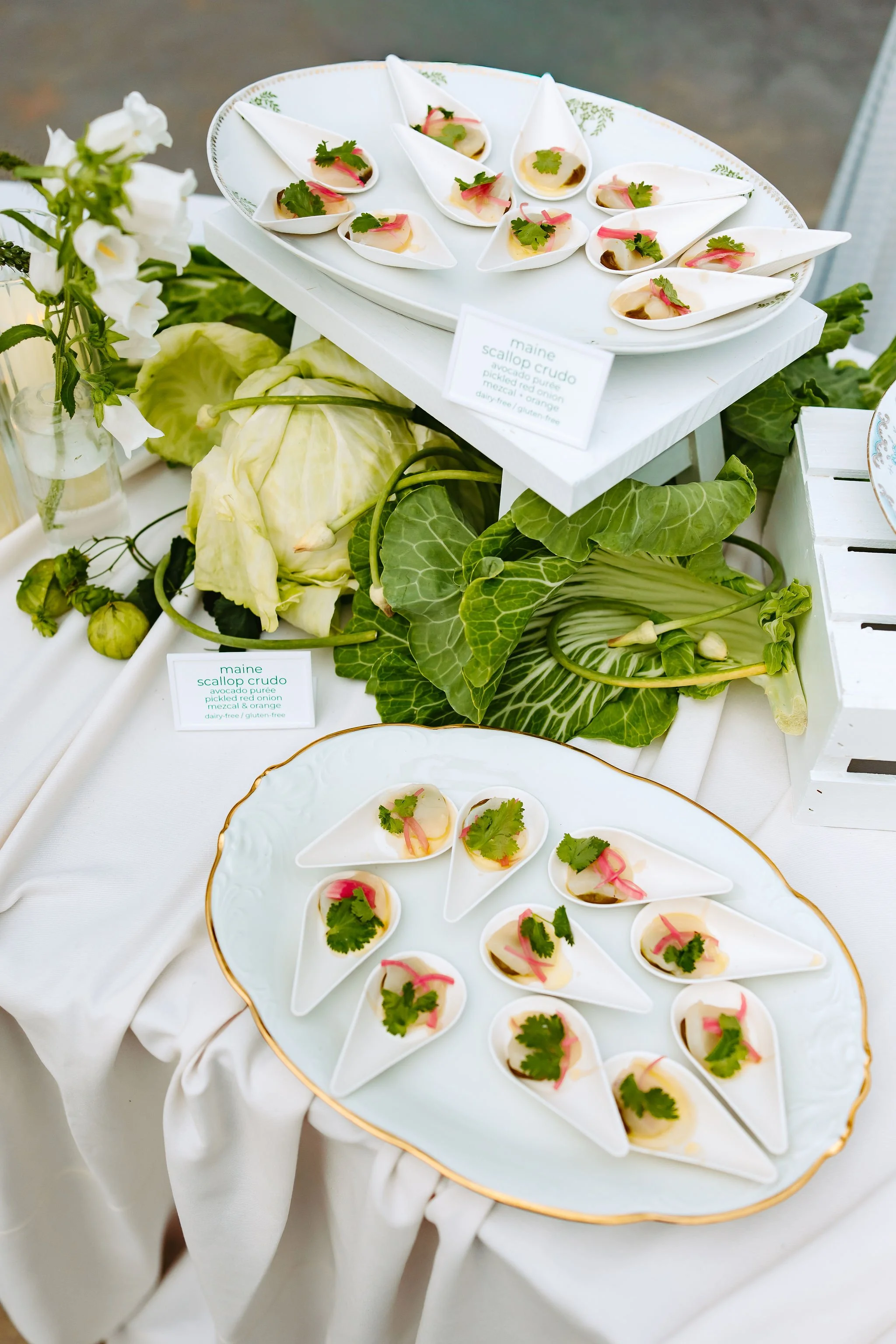 scallop crudo | photo by Mainely Jamie