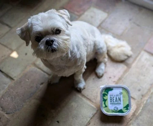 Give a dog a bean 2- vegan dog food - just be kind - packaging design - yoke creative agency.webp