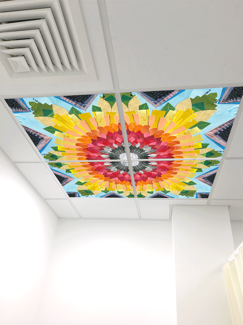 Ponseti ward - lightbox.gif