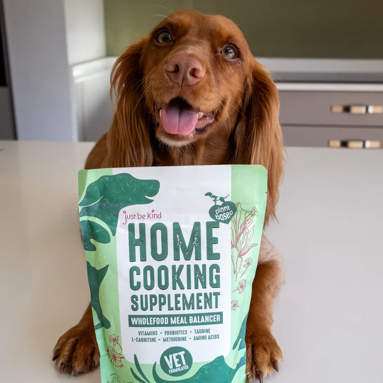 Home cooking supplement - vegan dog food - just be kind - packaging design - yoke creative agency.webp