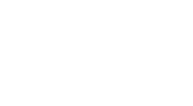 Y MAES.png
