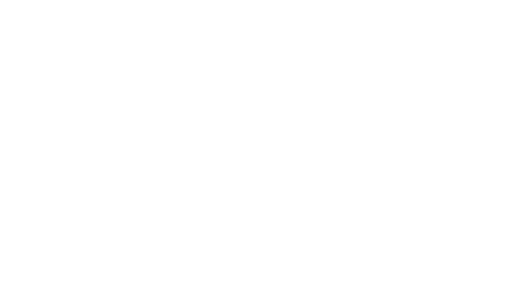 MICRO.png