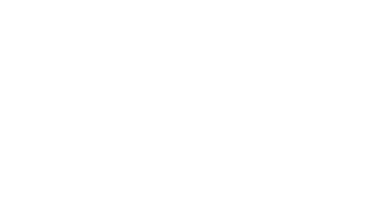 PARENT-INFANT FOUNDATION.png