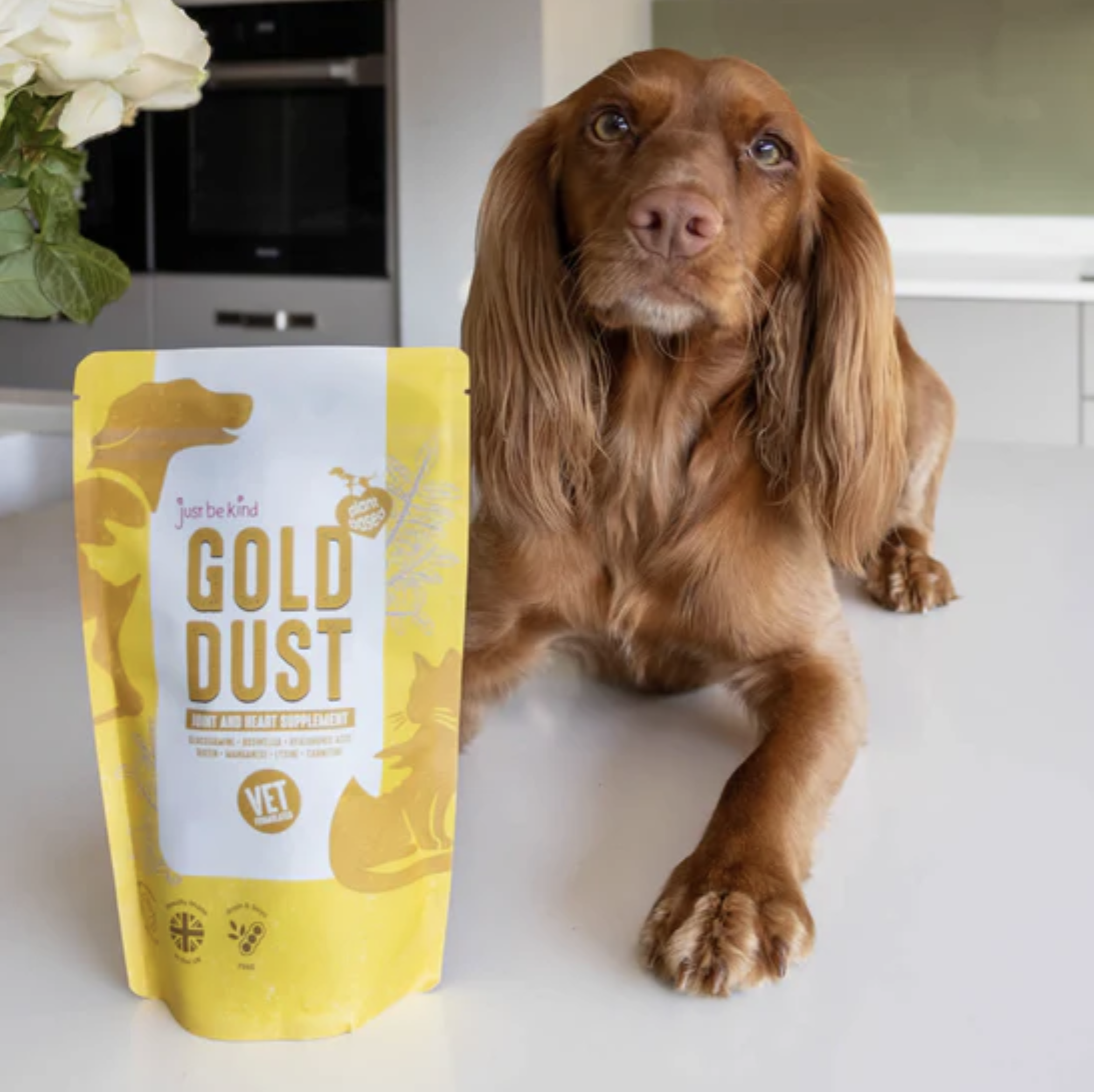 Gold dust food supplement - vegan dog food - just be kind - packaging design - yoke creative agency.png