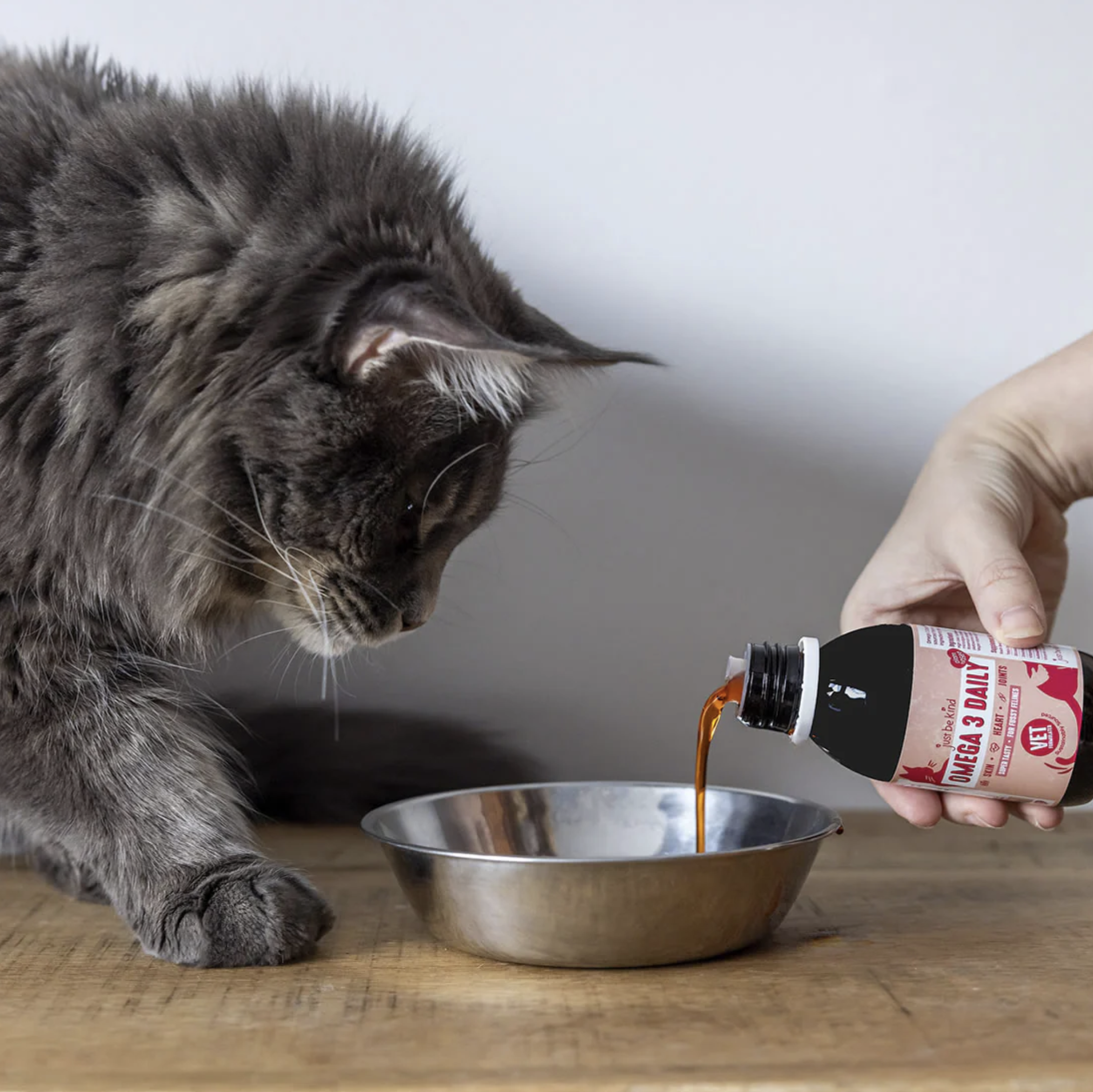 Omega 3 oil - Cats - just be kind - packaging design - yoke creative agency.png