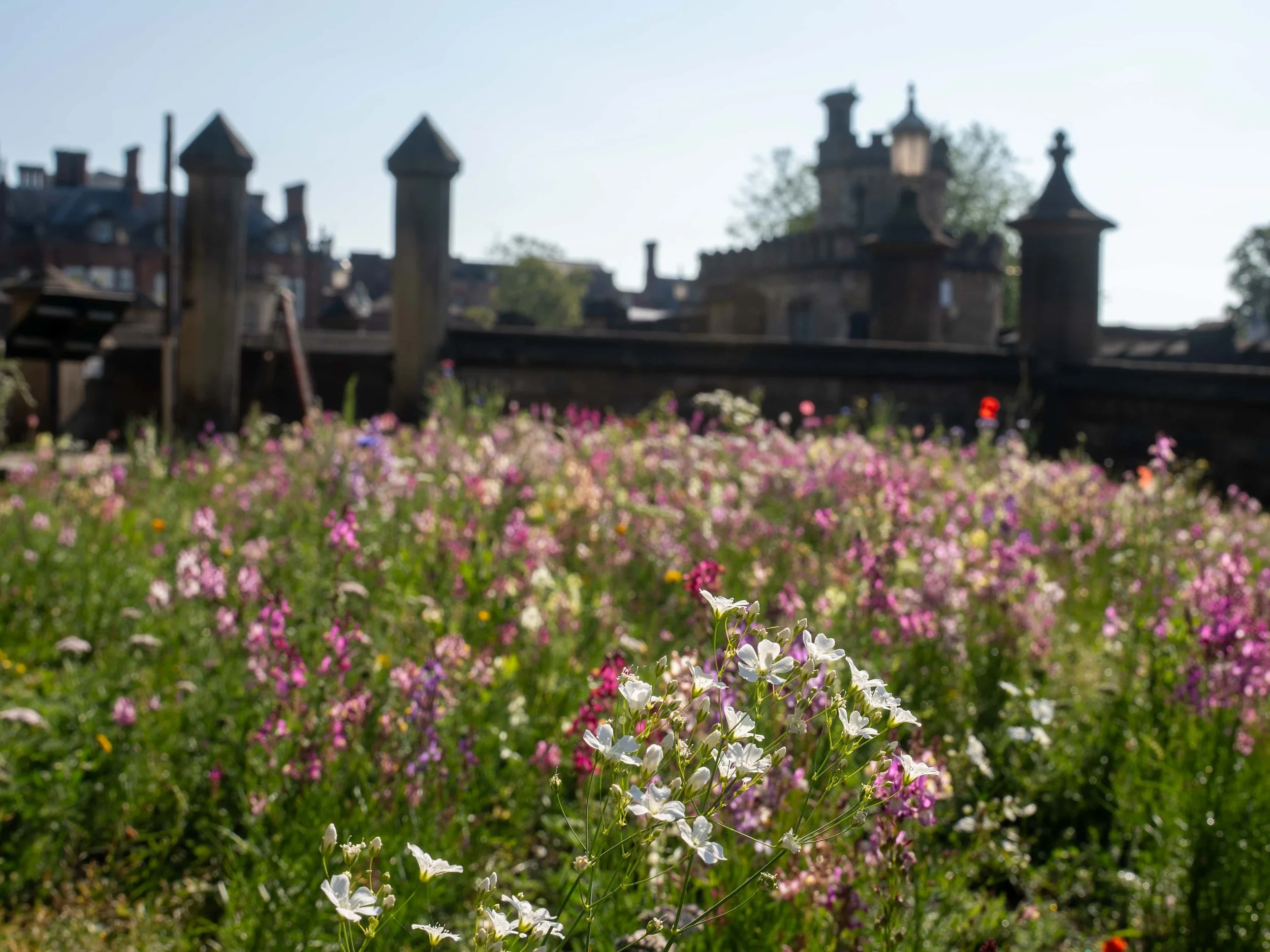 flowers_Bridge_York.jpg