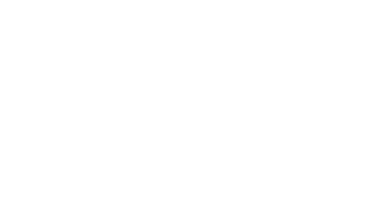 THE HOSPITALITY ACCOUNTANTS.png
