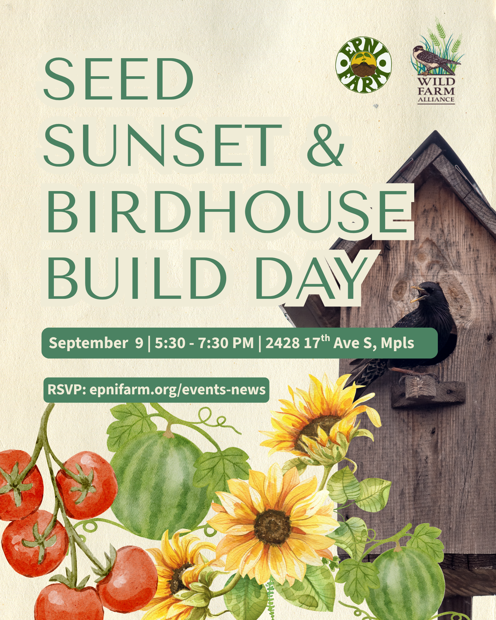 Seed Sunset &amp; Birdhouse Build Day