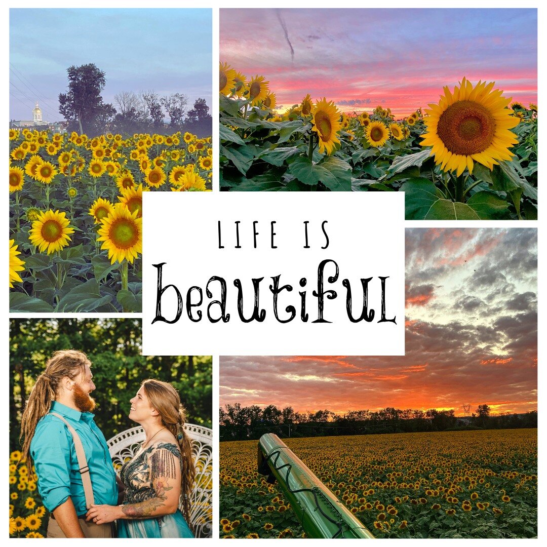 Let's reminisce! We're not the only ones who snapped some amazing photos of our sunflowers last year! Post one of you own photos and tag us in it so we can all go back to August together!