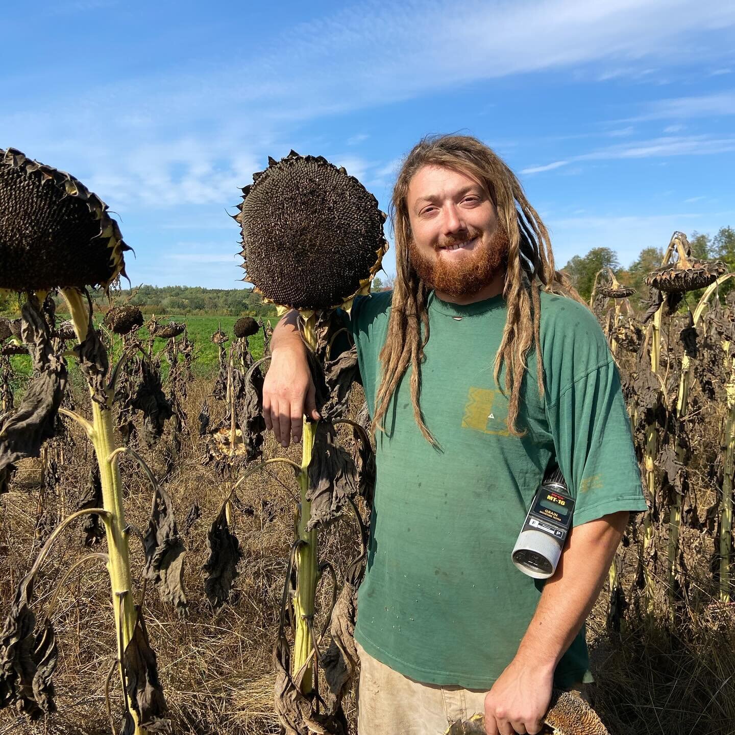 Meet your farmer! 

Our Founder and CEO, Greg, has over 12 years of organic farming experience and is always striving to learn. Greg was inspired to start Sunfox Farm after a trip to Europe, where he witnessed countless fields of sunflowers. Recogniz