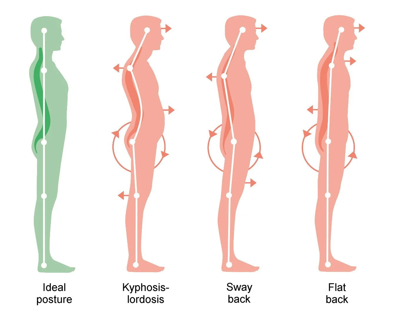 Does Posture Impact Erections and Erectile Function?